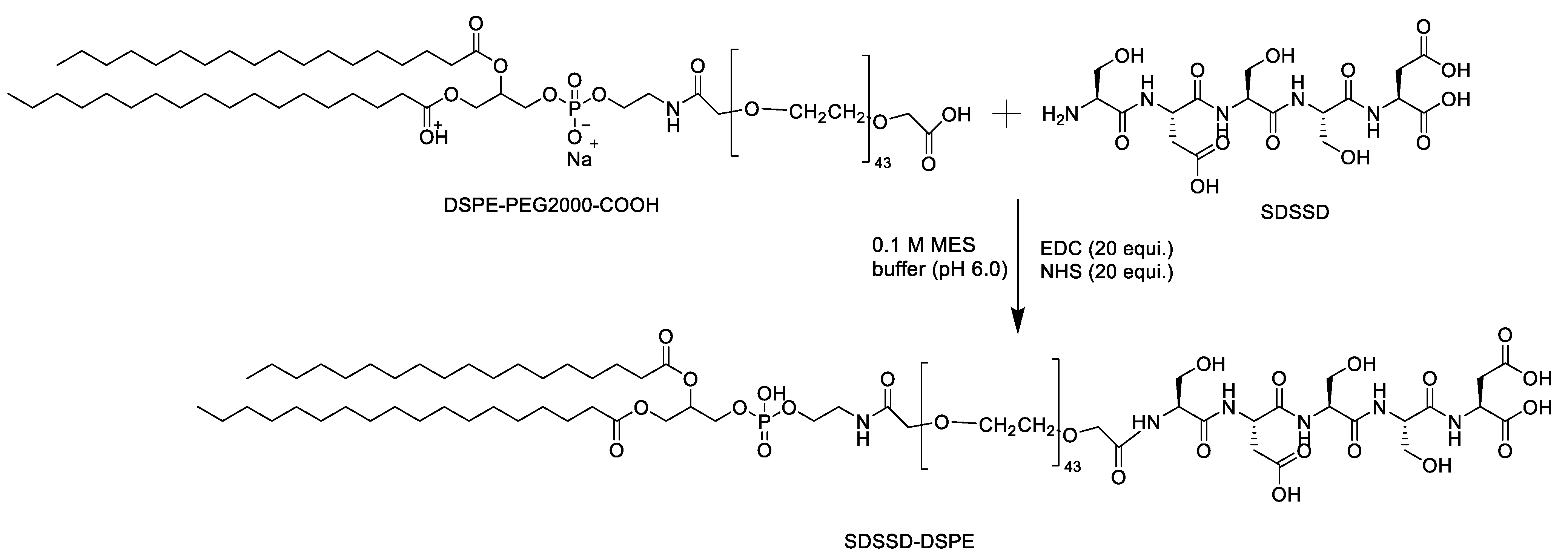 Pharmaceutics 15 00608 g001 Pharmaceutics 15 00608 g001