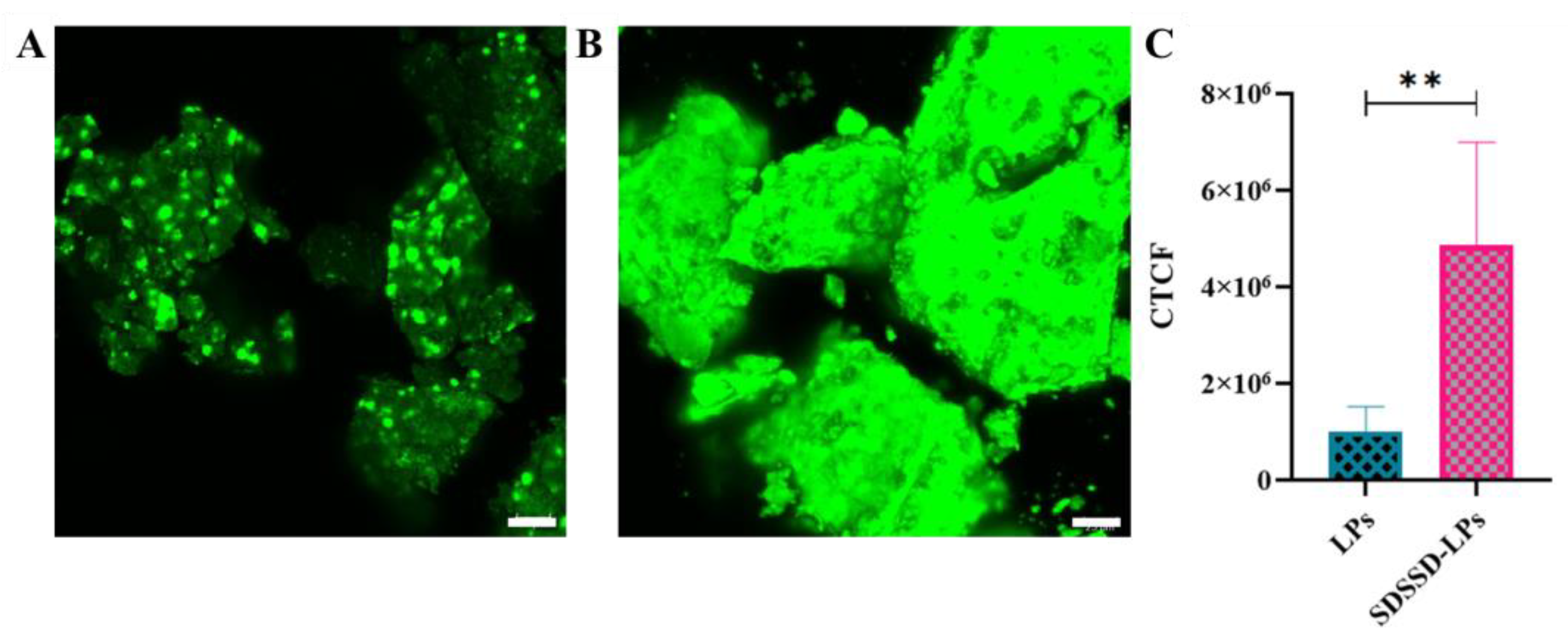 Pharmaceutics 15 00608 g015 Pharmaceutics 15 00608 g015
