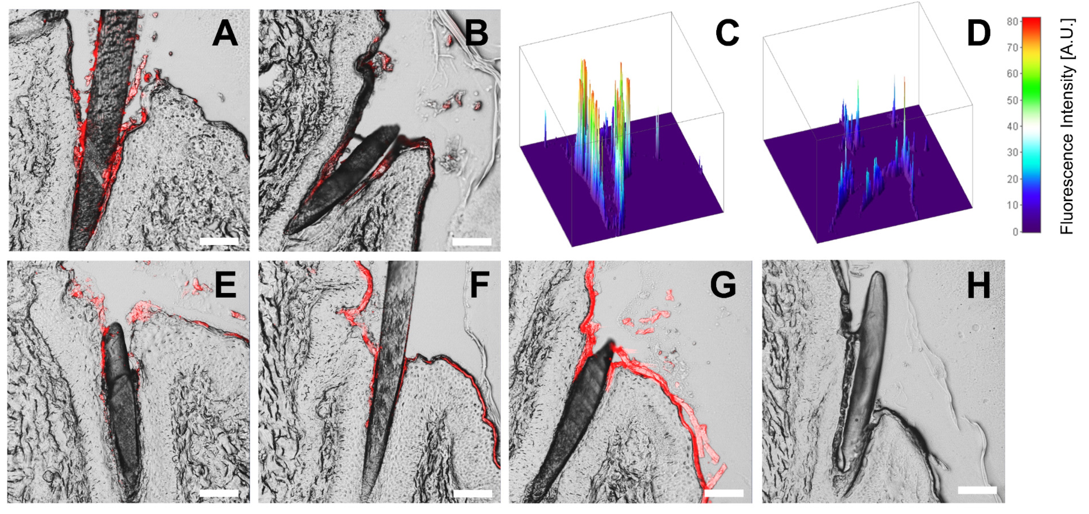 Pharmaceutics 15 00609 g009 Pharmaceutics 15 00609 g009
