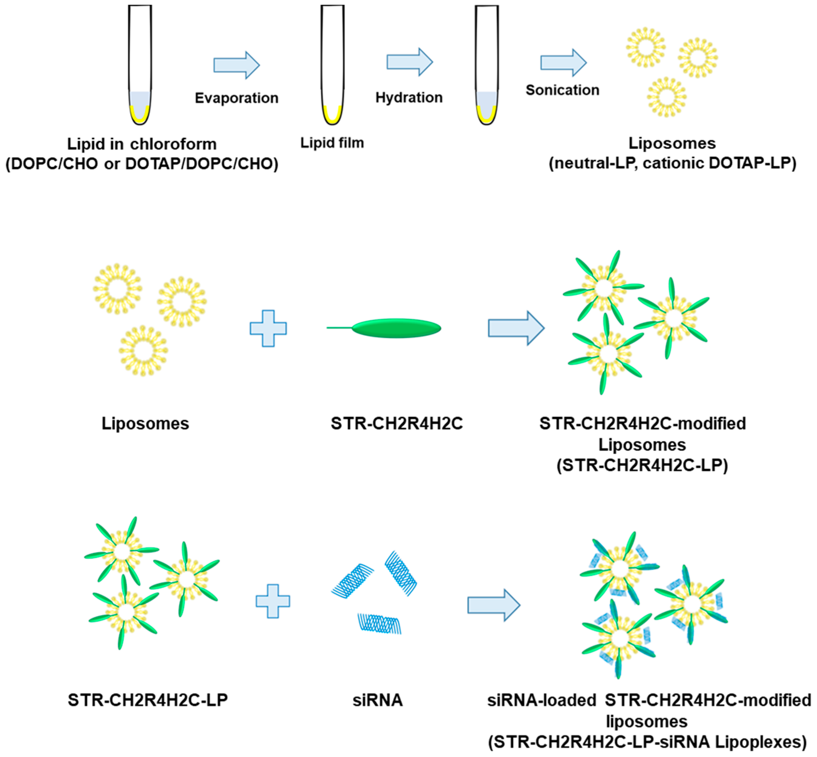 Pharmaceutics 15 00611 sch001
