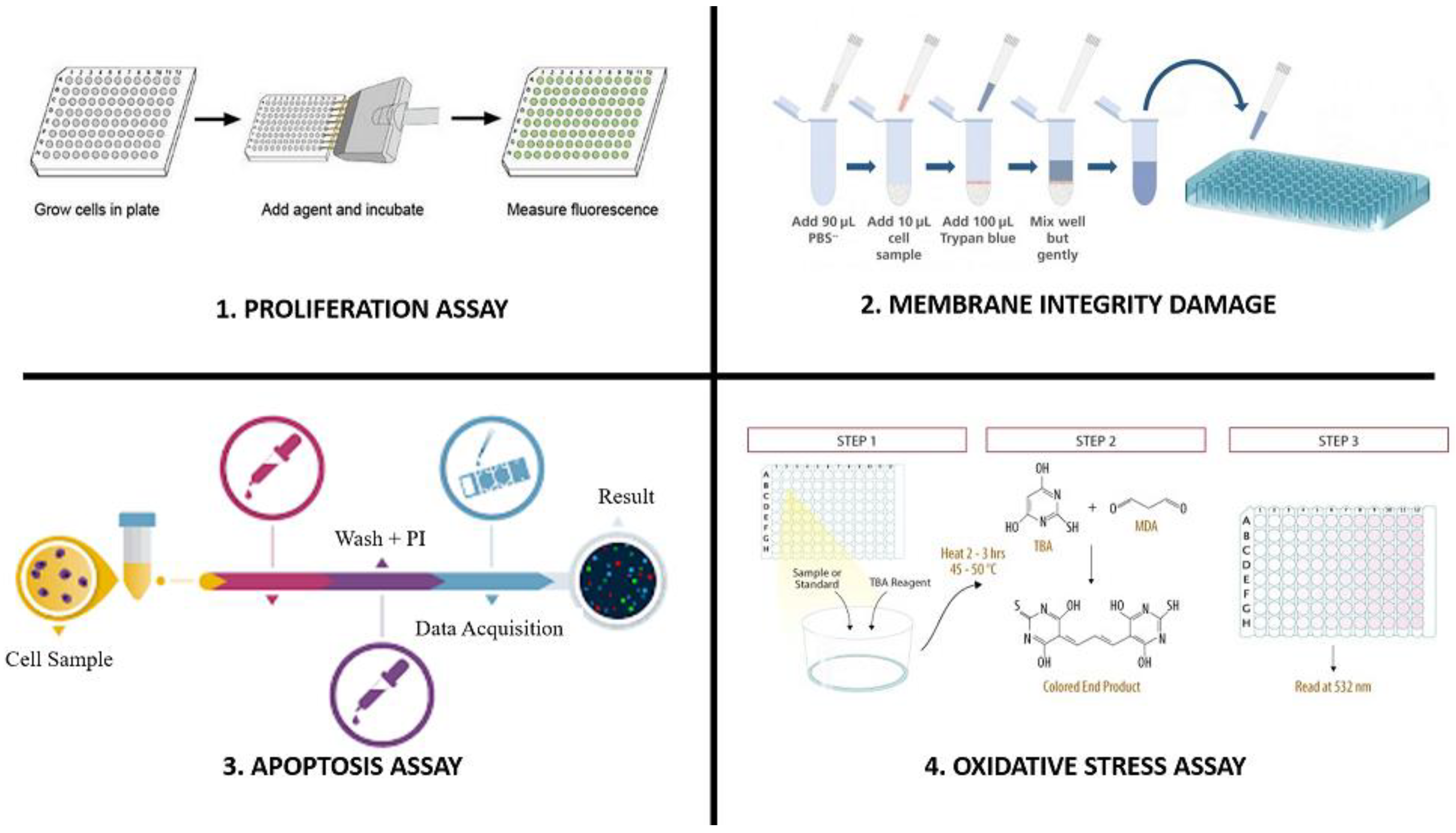 Pharmaceutics 15 00612 g002 Pharmaceutics 15 00612 g002