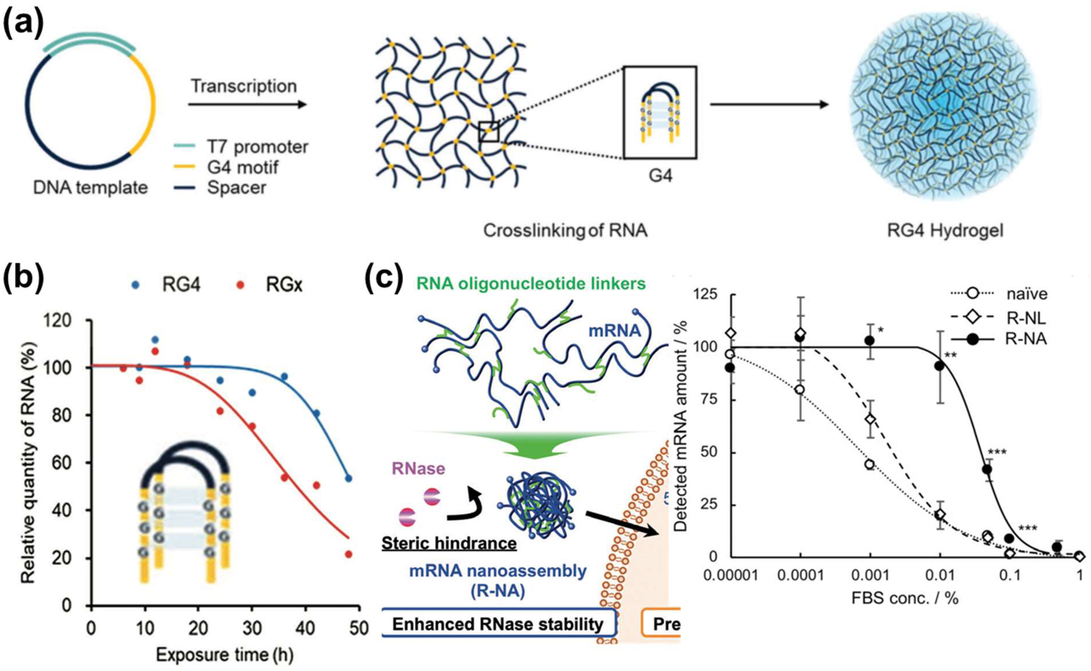 Pharmaceutics 15 00620 g003 Pharmaceutics 15 00620 g003
