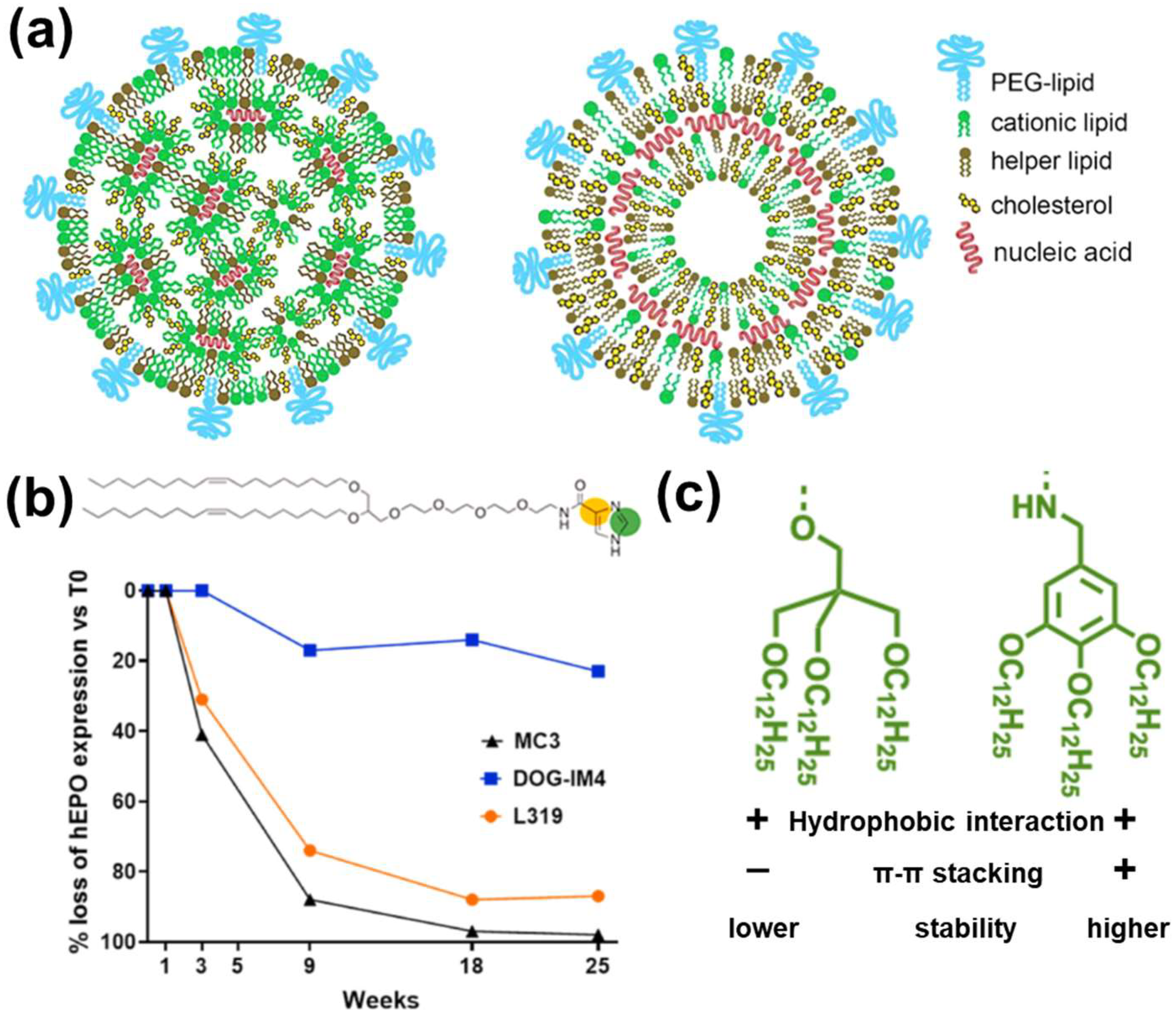 Pharmaceutics 15 00620 g004 Pharmaceutics 15 00620 g004