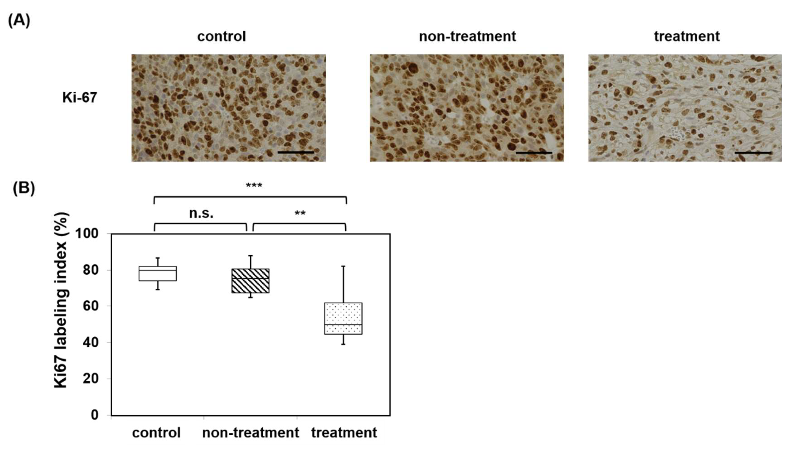 Pharmaceutics 15 00626 g009