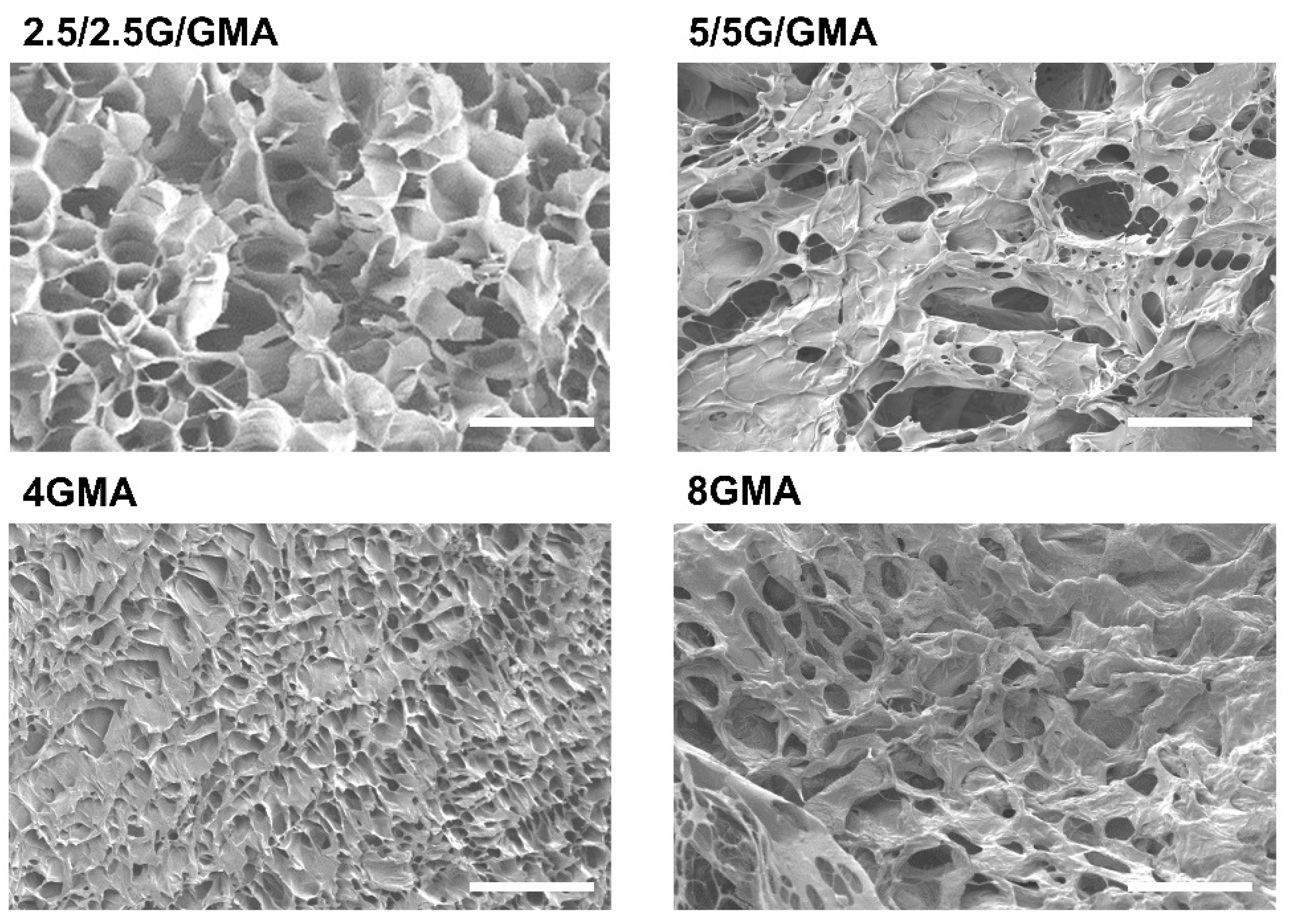 Pharmaceutics 15 00627 g002