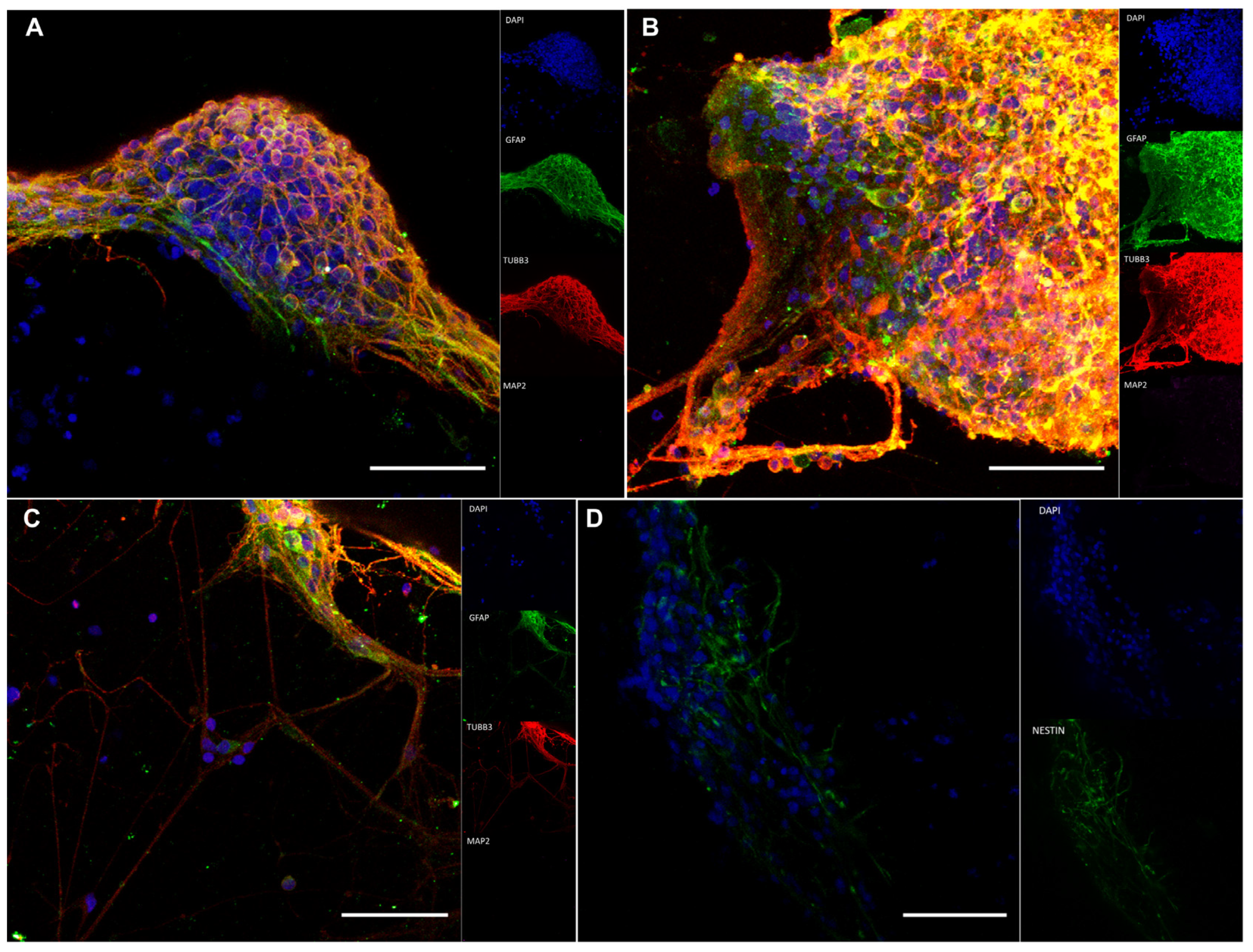 Pharmaceutics 15 00627 g006