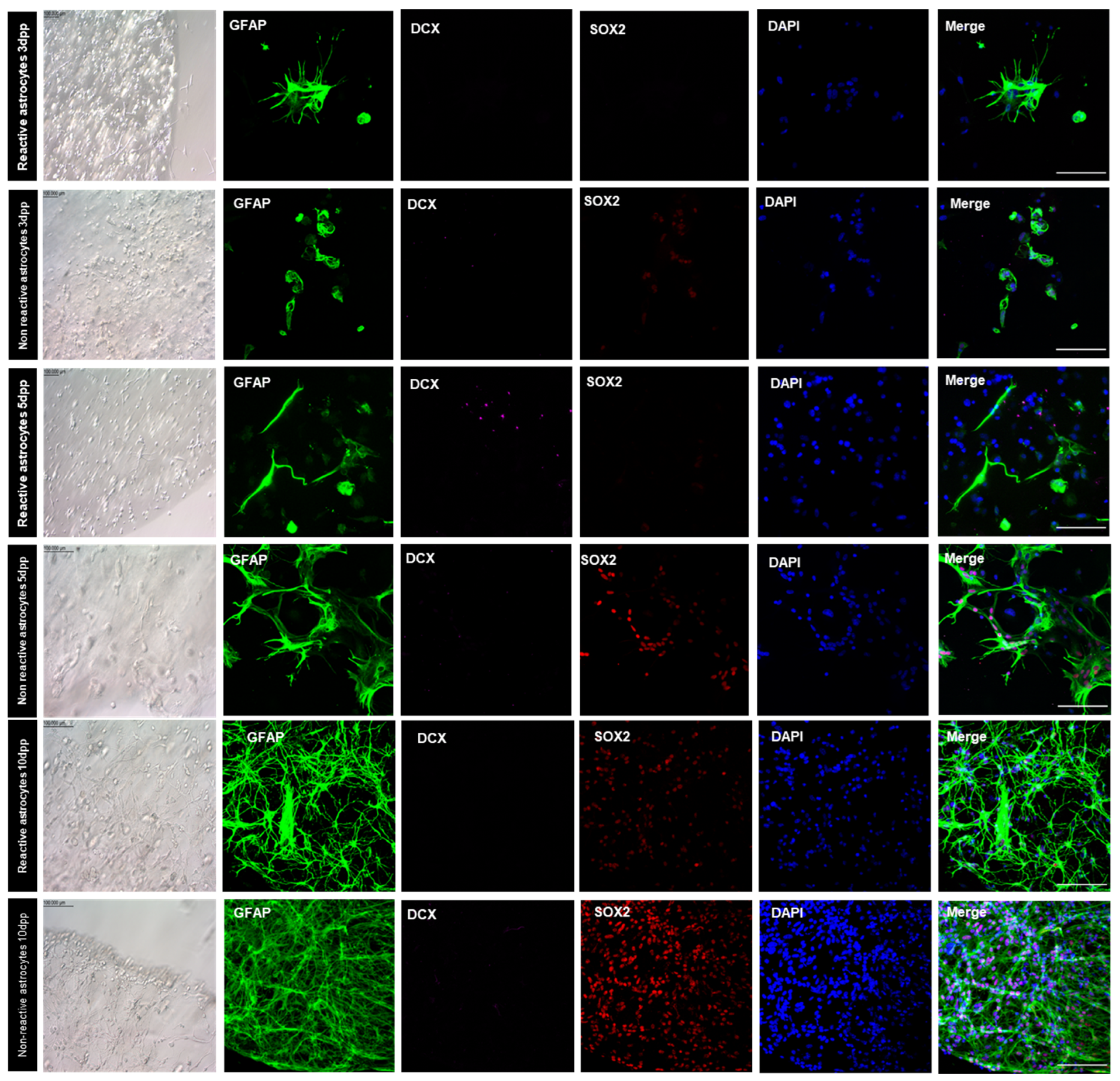 Pharmaceutics 15 00627 g007