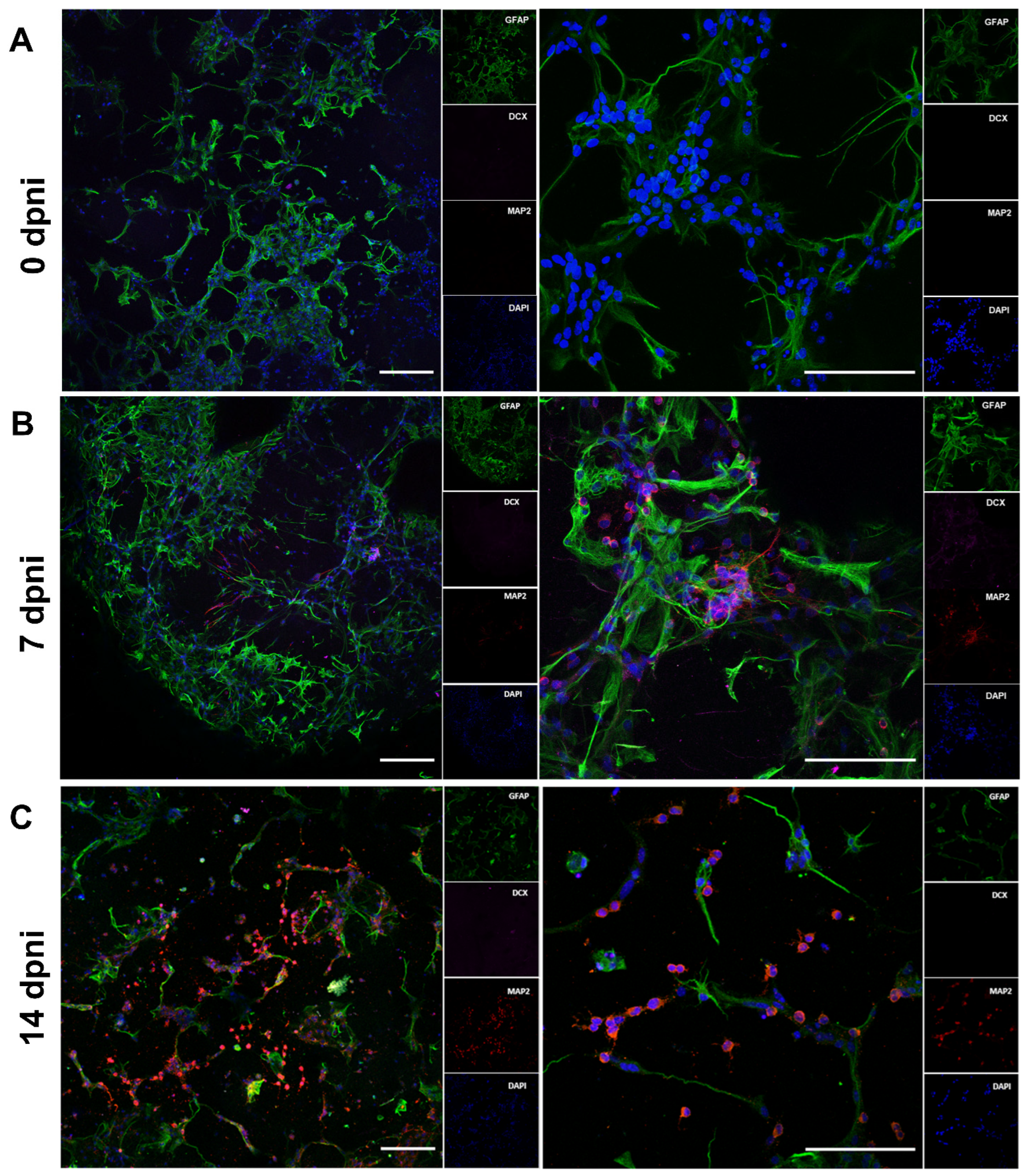 Pharmaceutics 15 00627 g008