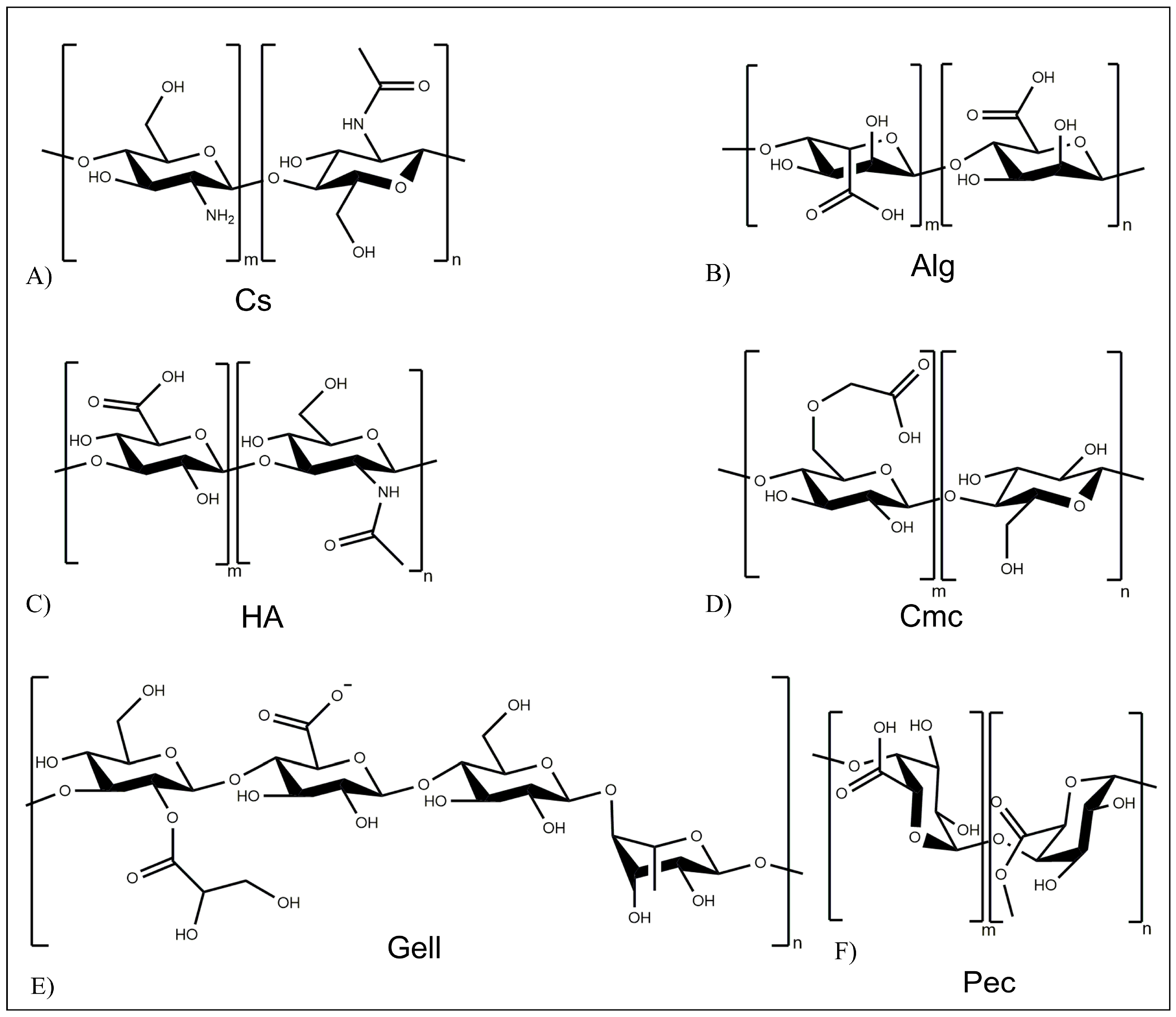 Pharmaceutics 15 00628 g003 Pharmaceutics 15 00628 g003