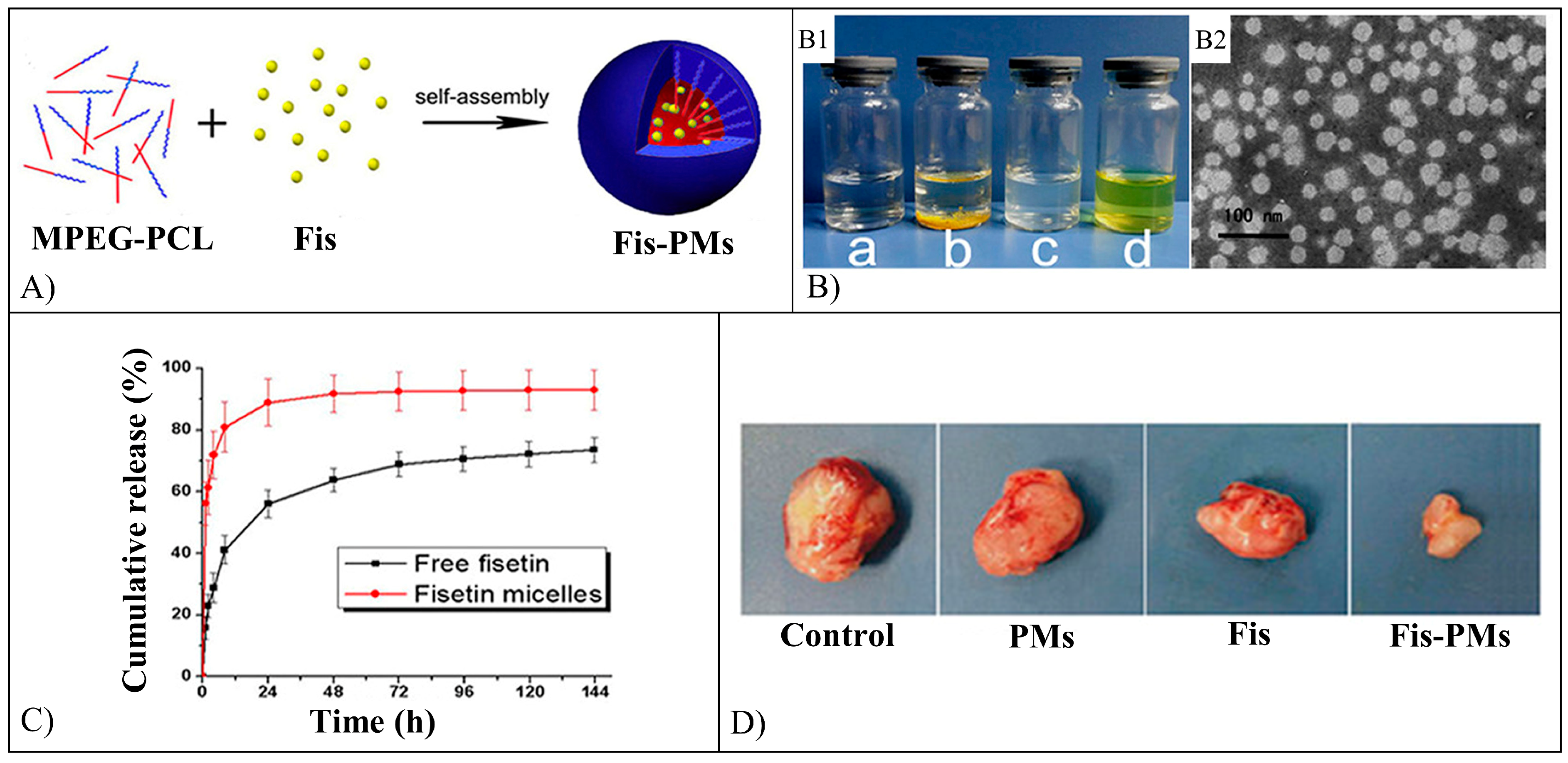 Pharmaceutics 15 00628 g012 Pharmaceutics 15 00628 g012