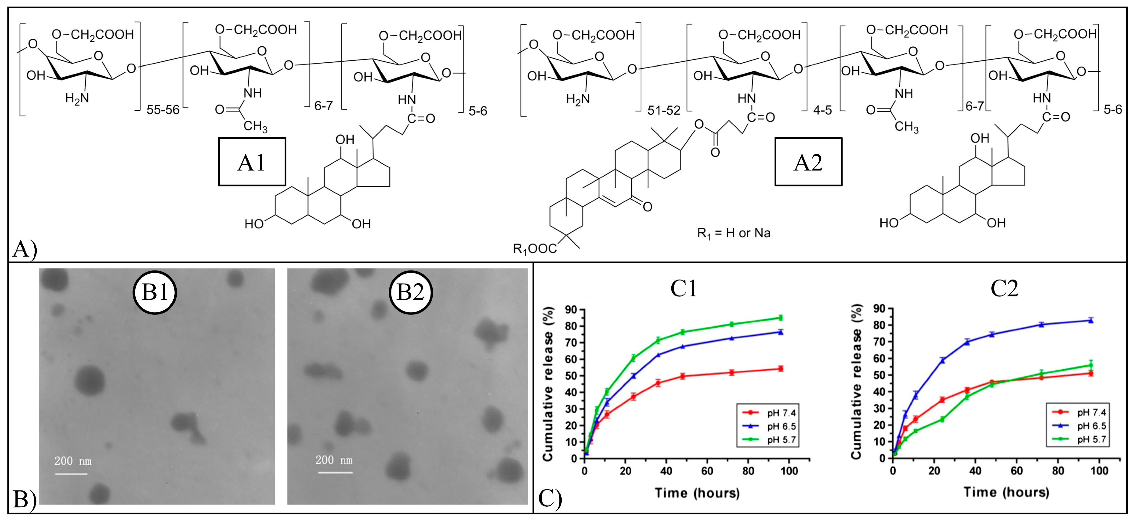 Pharmaceutics 15 00628 g018 Pharmaceutics 15 00628 g018