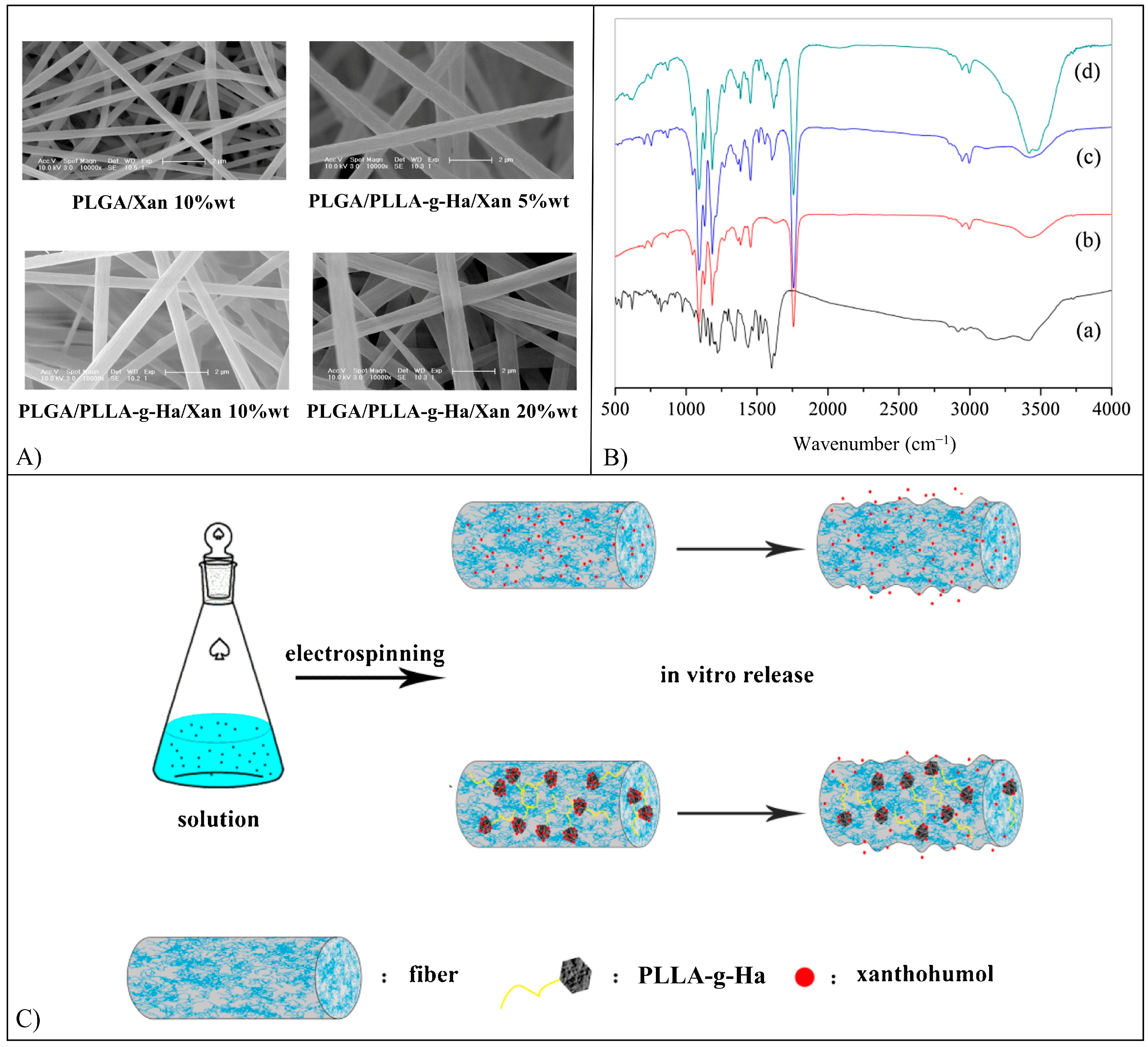 Pharmaceutics 15 00628 g020 Pharmaceutics 15 00628 g020