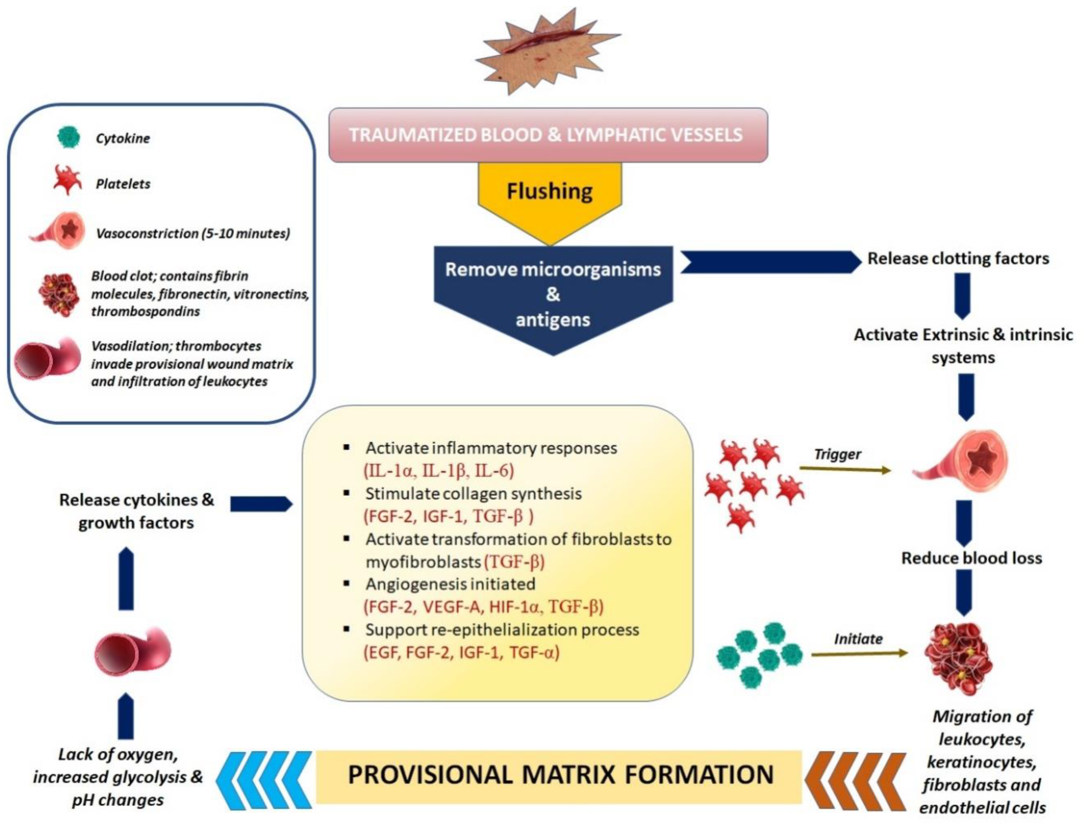 Pharmaceutics 15 00634 g002 Pharmaceutics 15 00634 g002