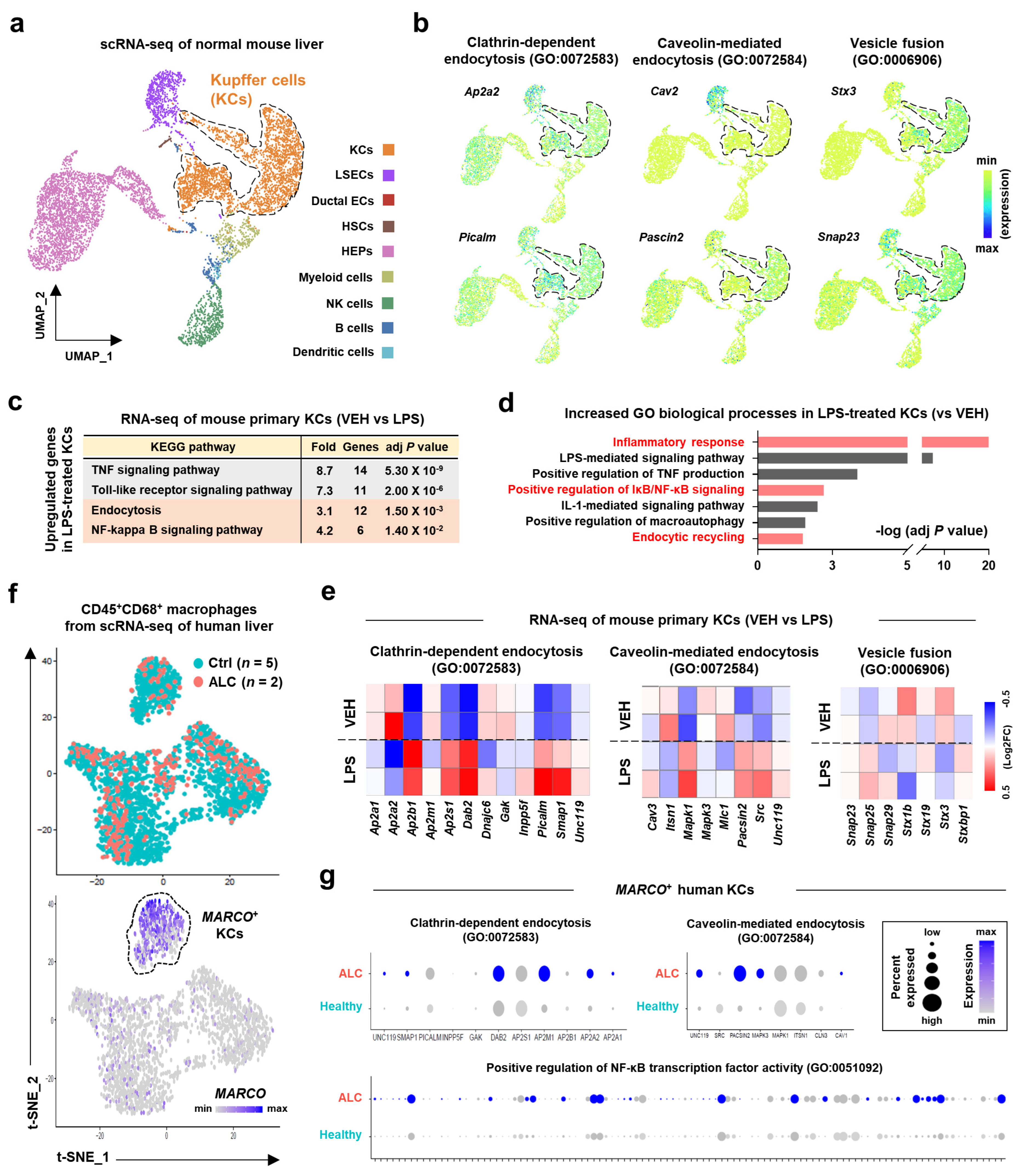 Pharmaceutics 15 00636 g002
