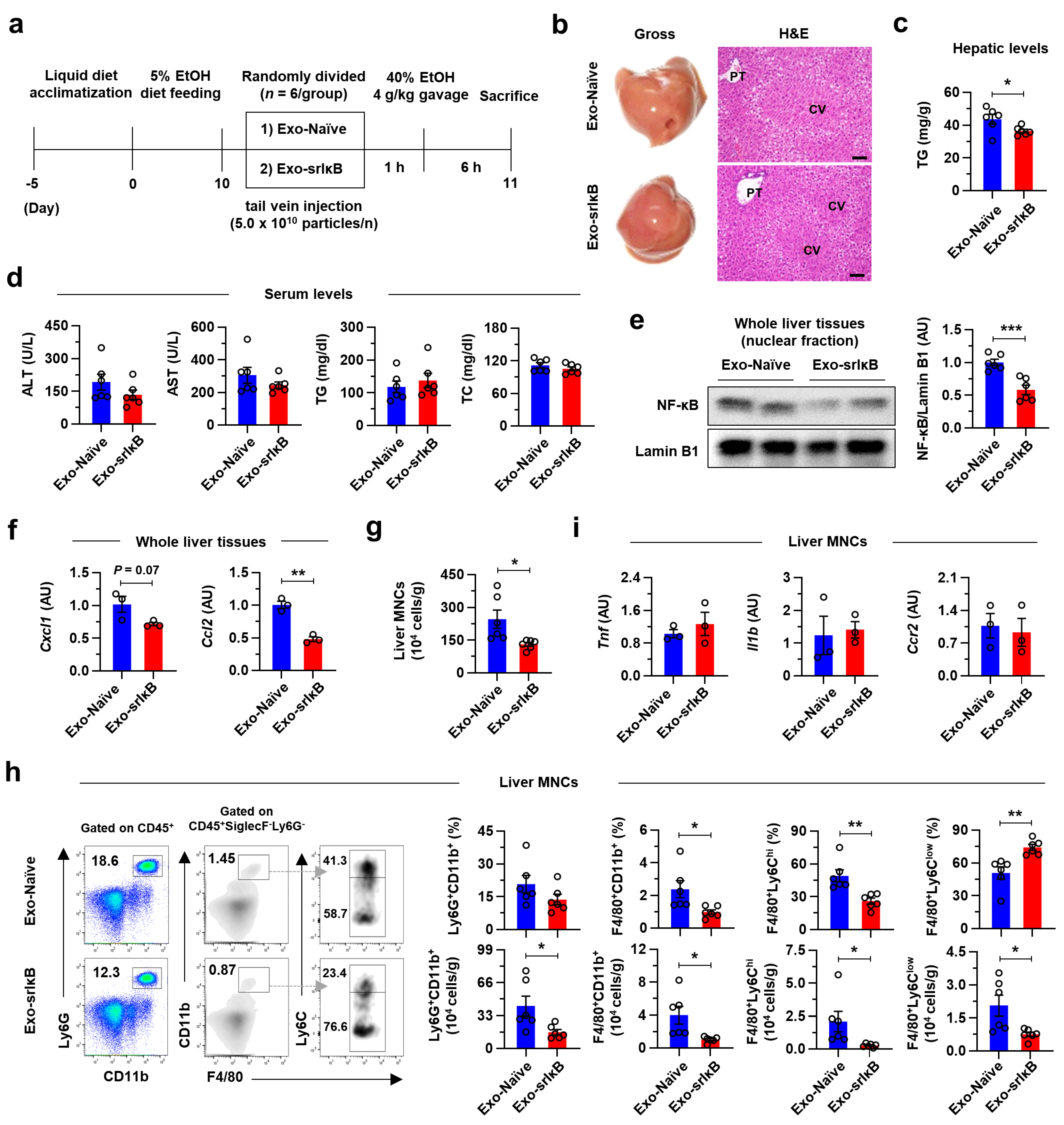 Pharmaceutics 15 00636 g004