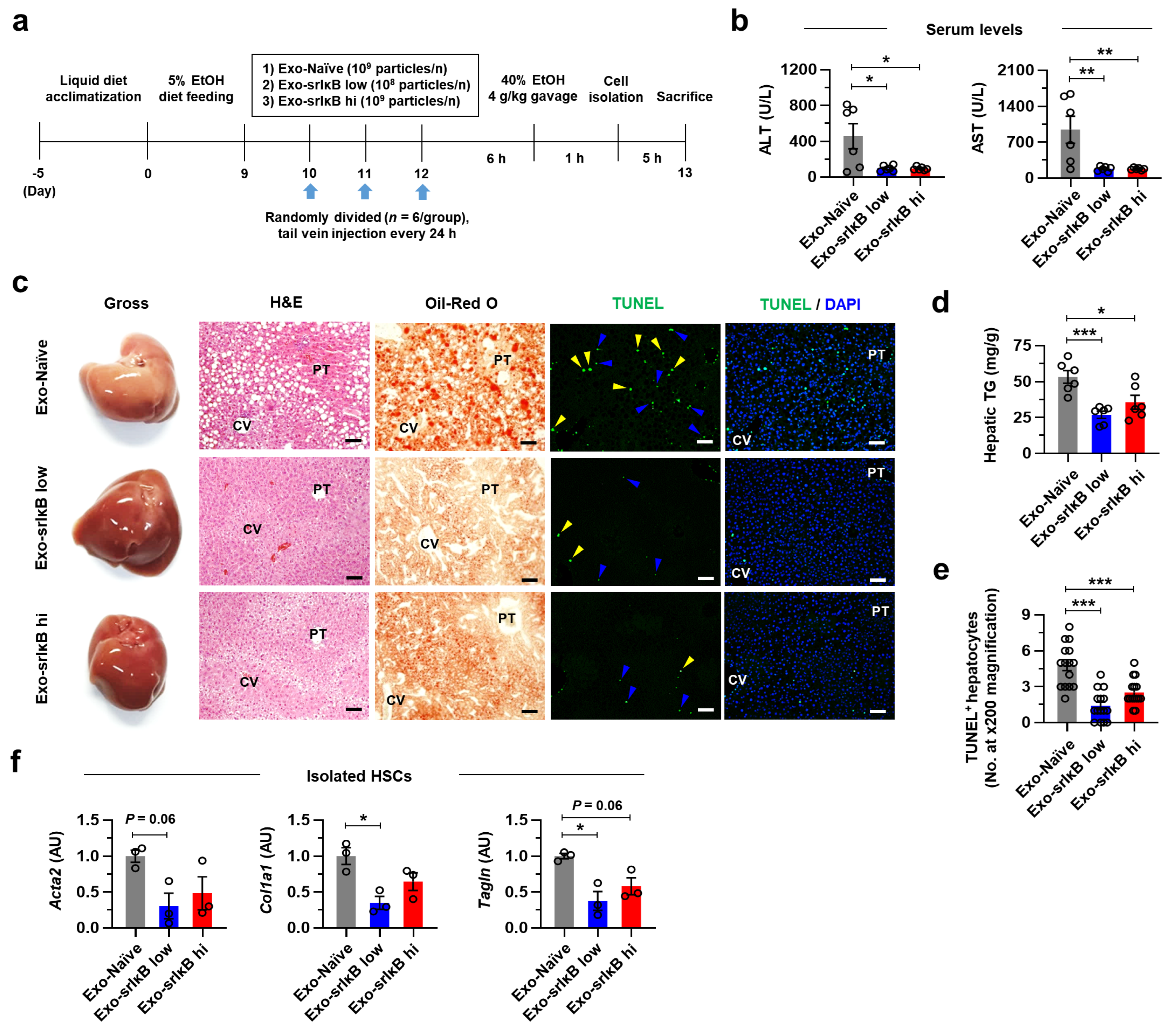 Pharmaceutics 15 00636 g005