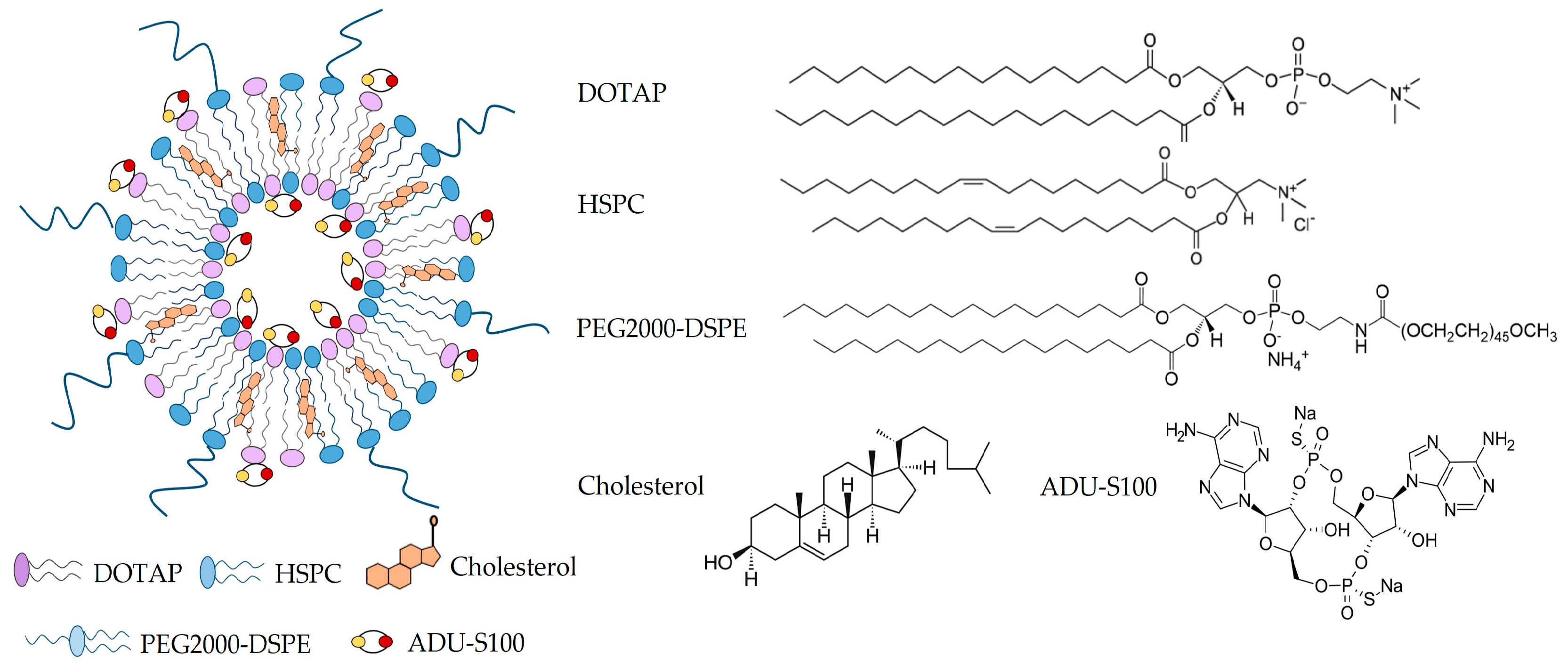 Pharmaceutics 15 00638 g001 Pharmaceutics 15 00638 g001