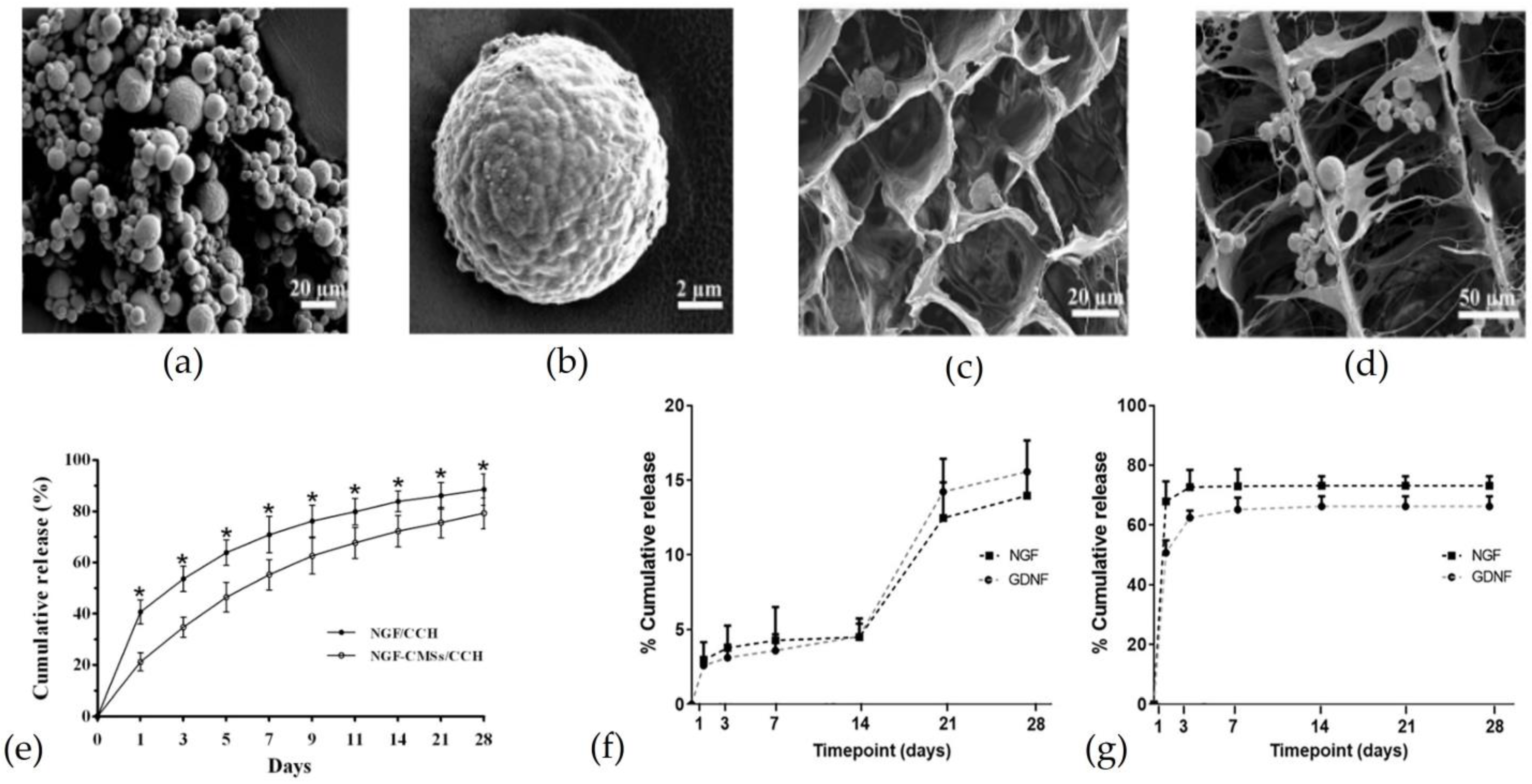 Pharmaceutics 15 00640 g005