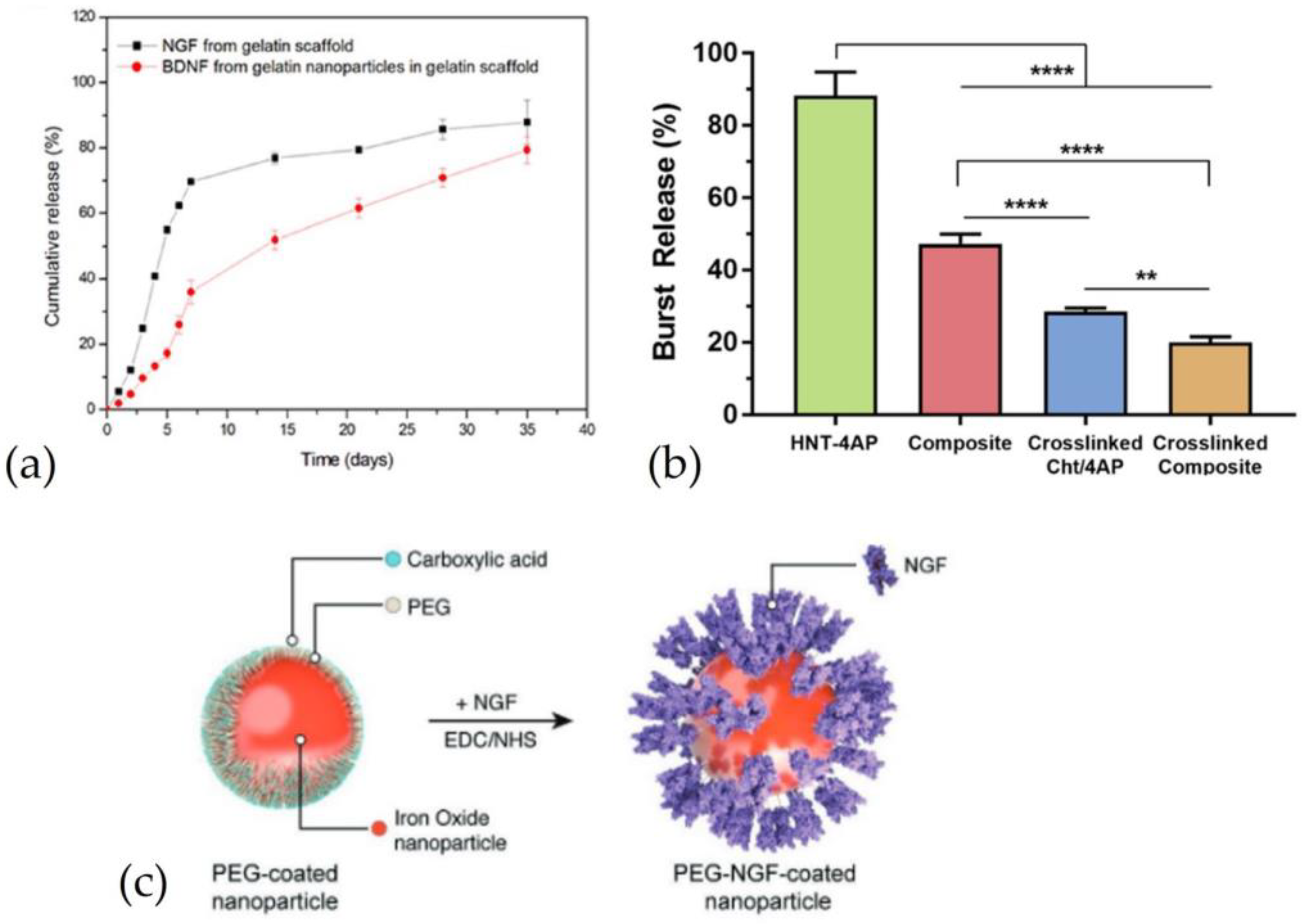 Pharmaceutics 15 00640 g006