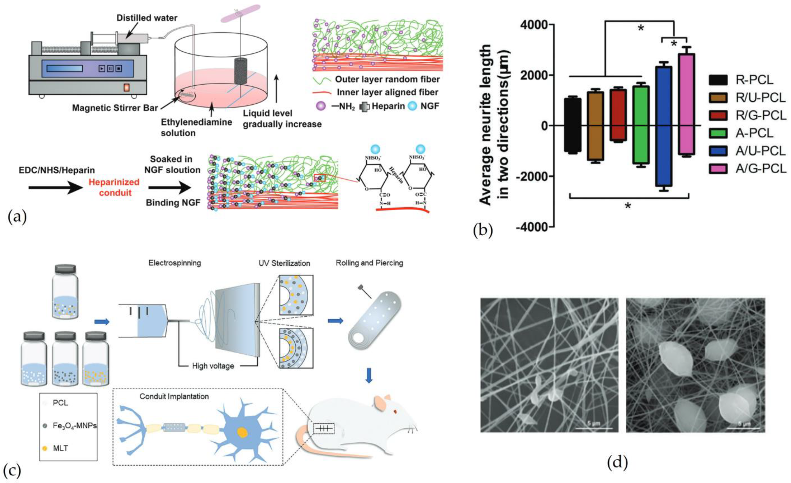 Pharmaceutics 15 00640 g007