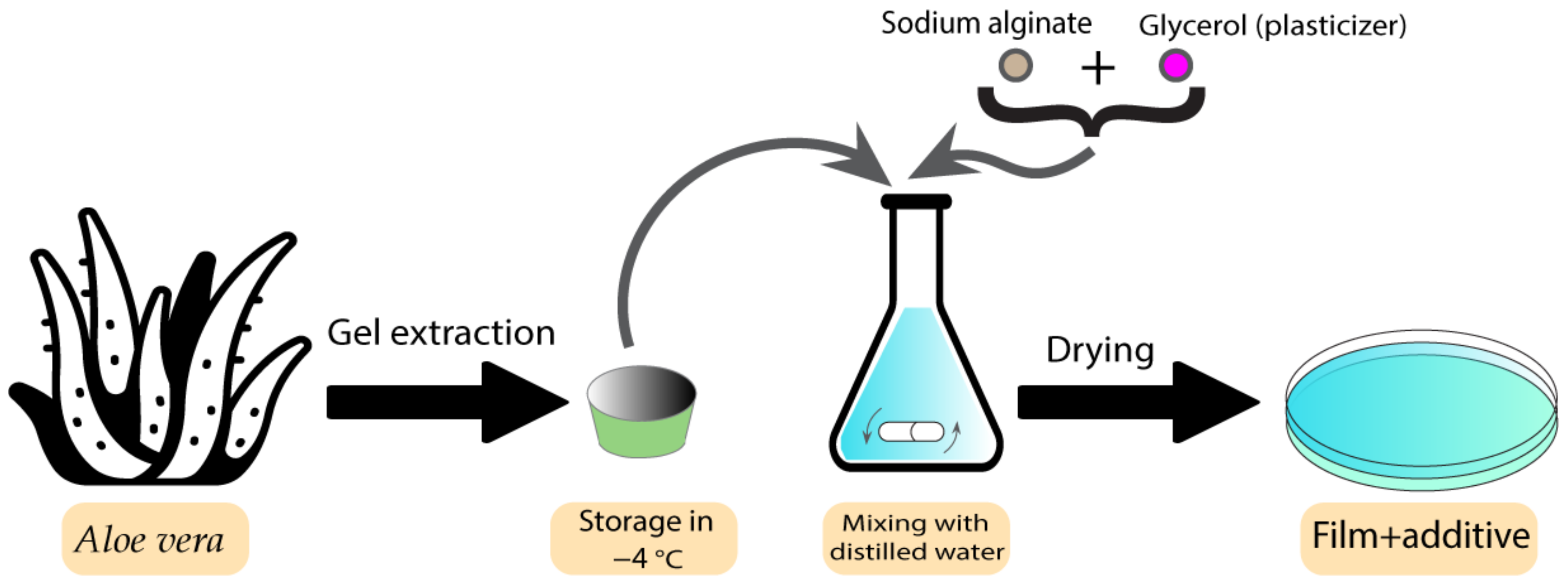 Pharmaceutics 15 00644 g005