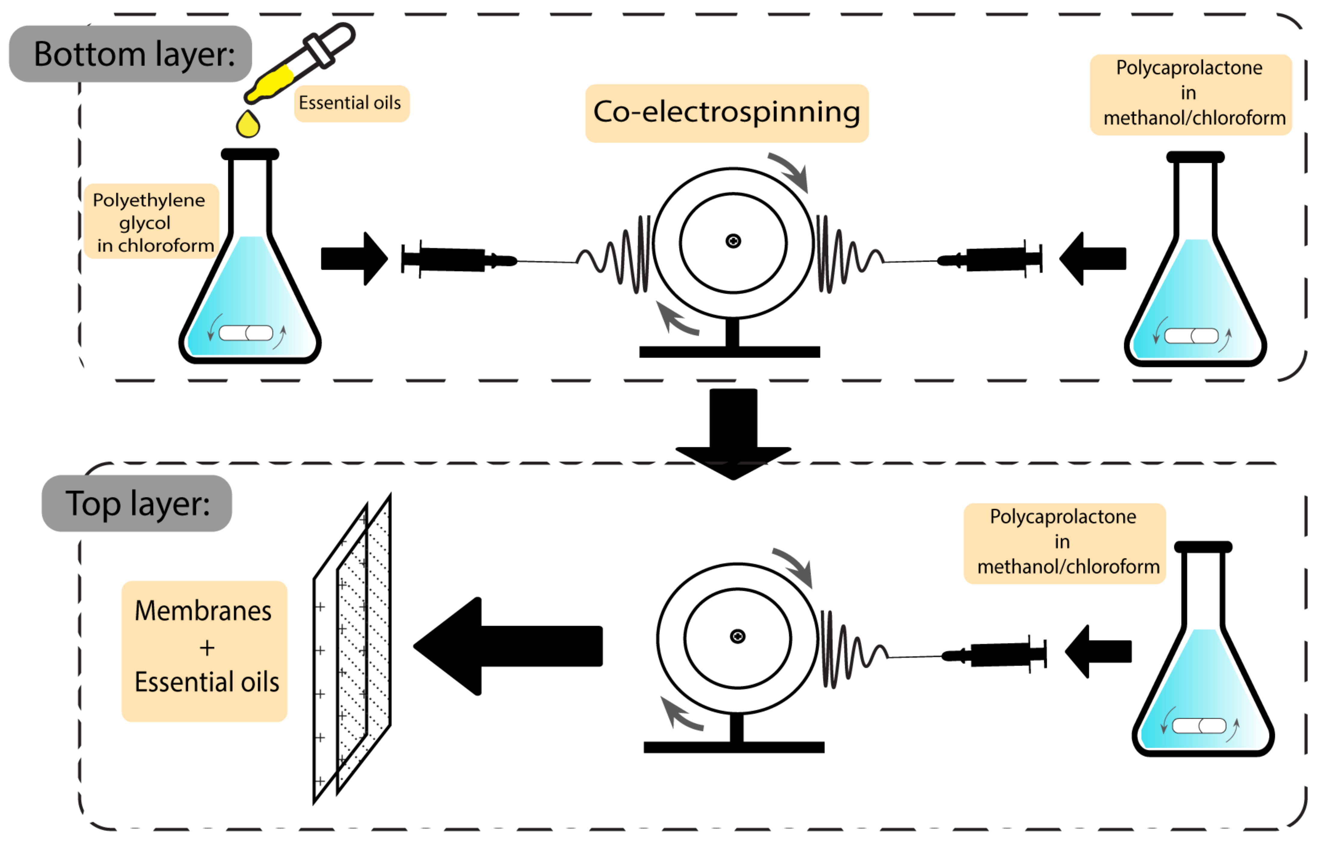Pharmaceutics 15 00644 g008
