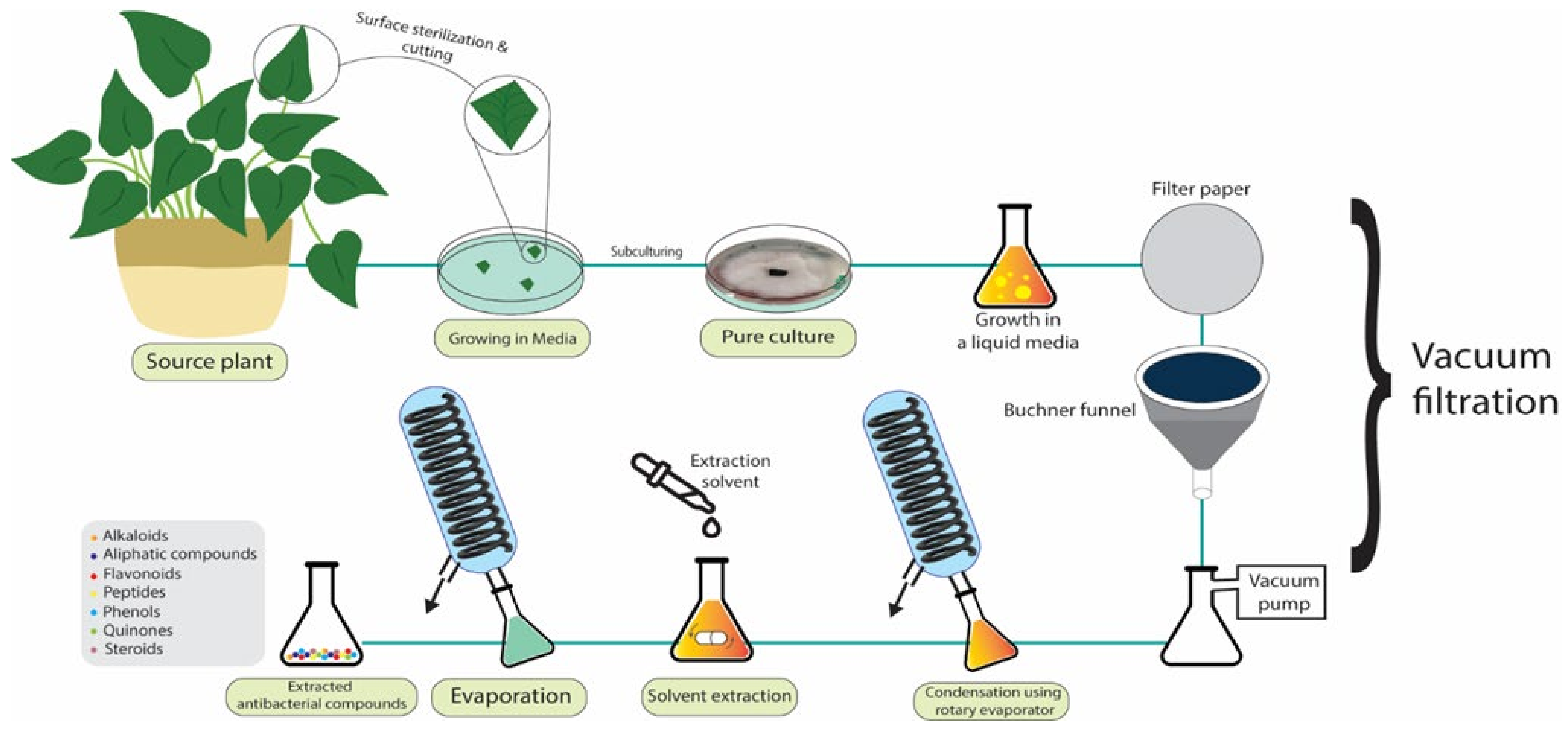 Pharmaceutics 15 00644 g011