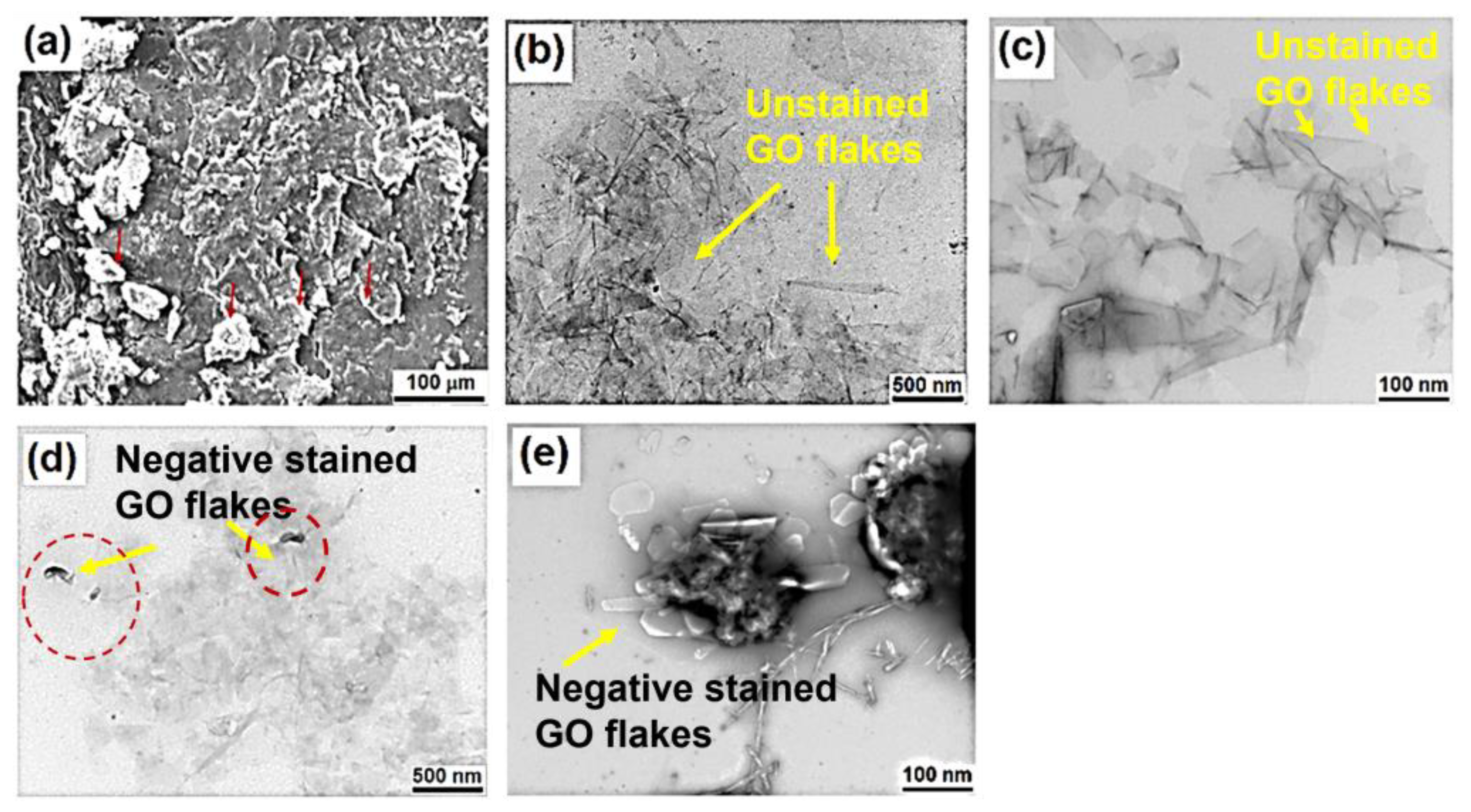Pharmaceutics 15 00649 g002