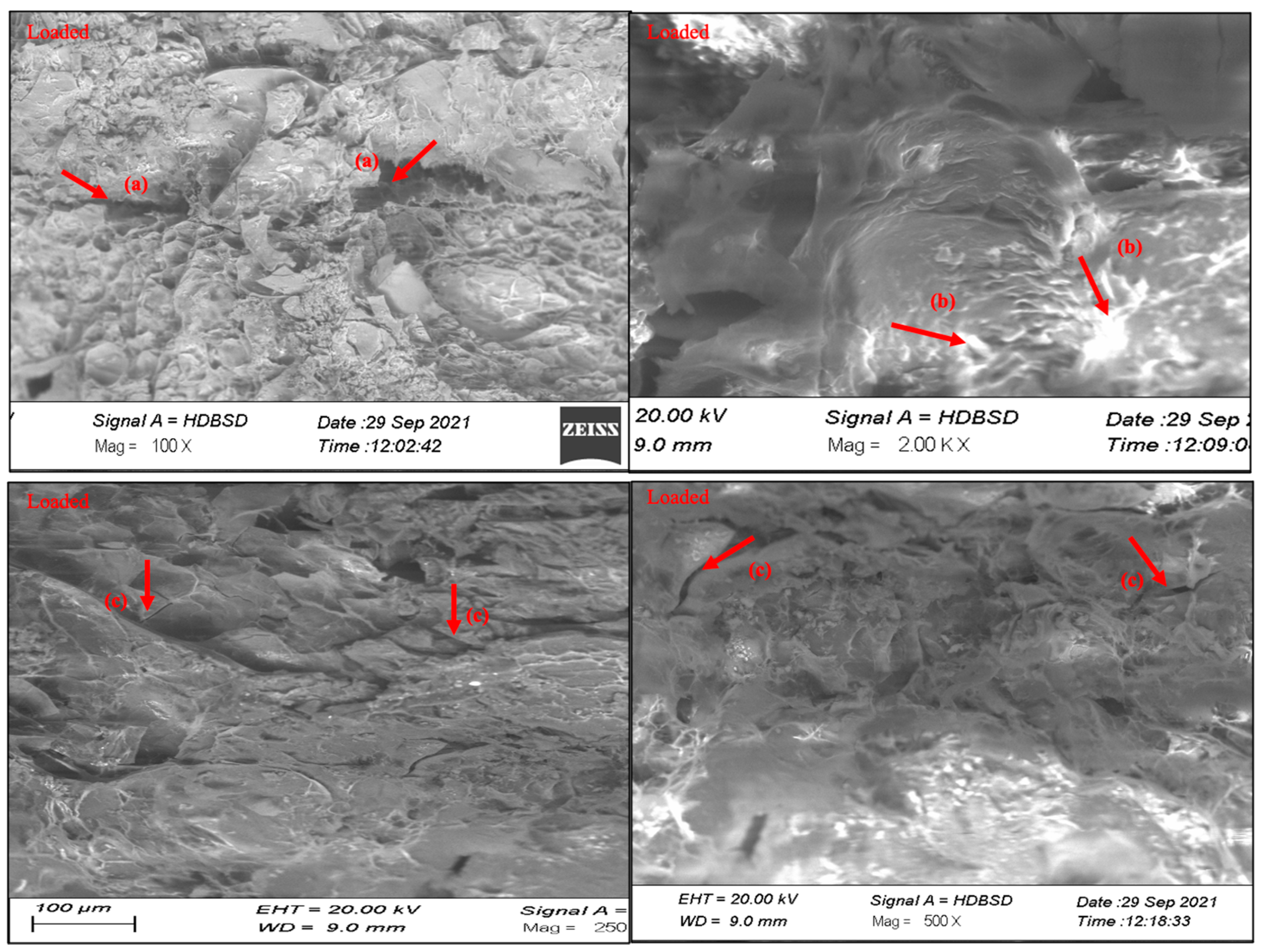 Pharmaceutics 15 00650 g007a Pharmaceutics 15 00650 g007a