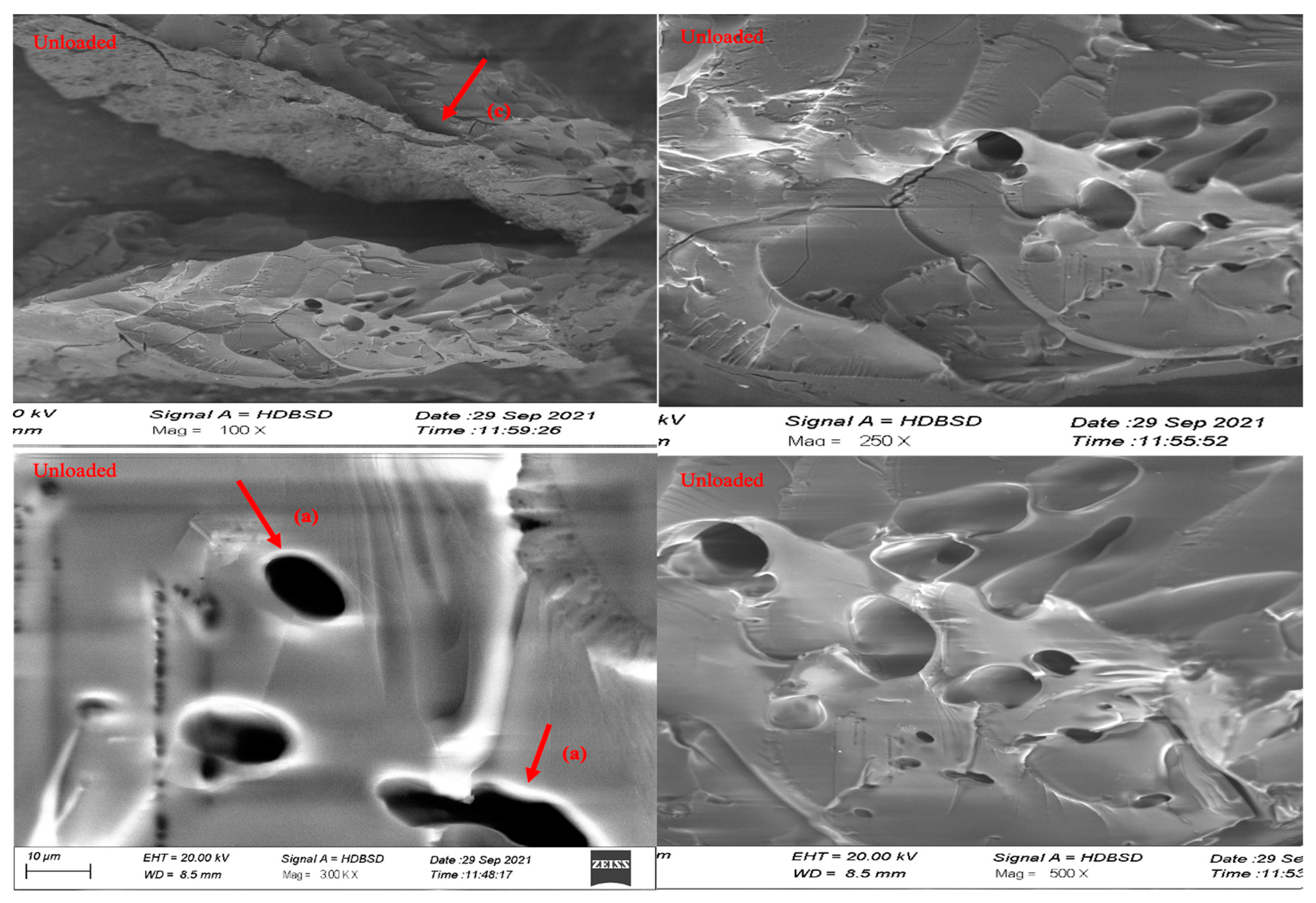 Pharmaceutics 15 00650 g007b Pharmaceutics 15 00650 g007b