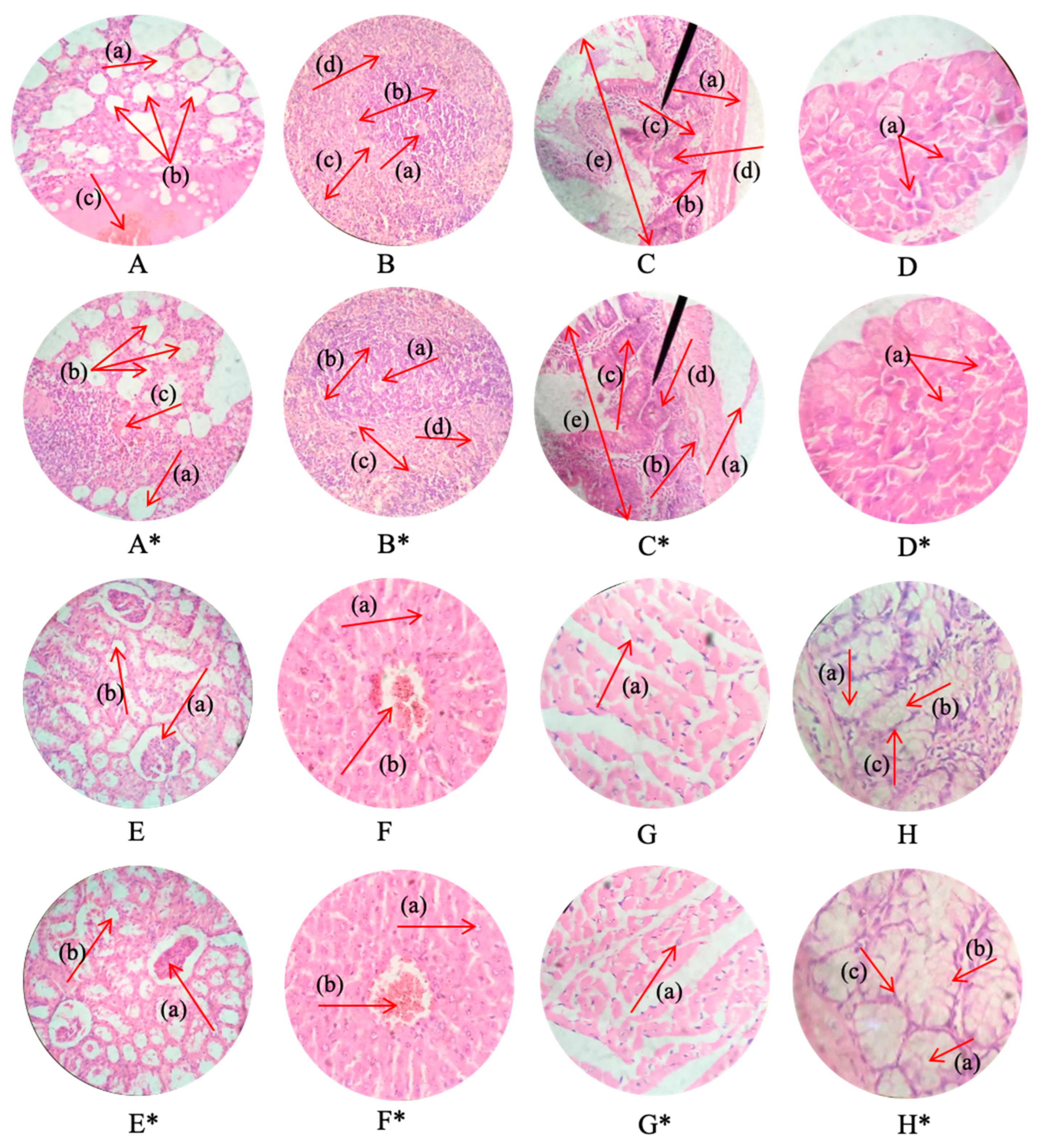 Pharmaceutics 15 00650 g012 Pharmaceutics 15 00650 g012
