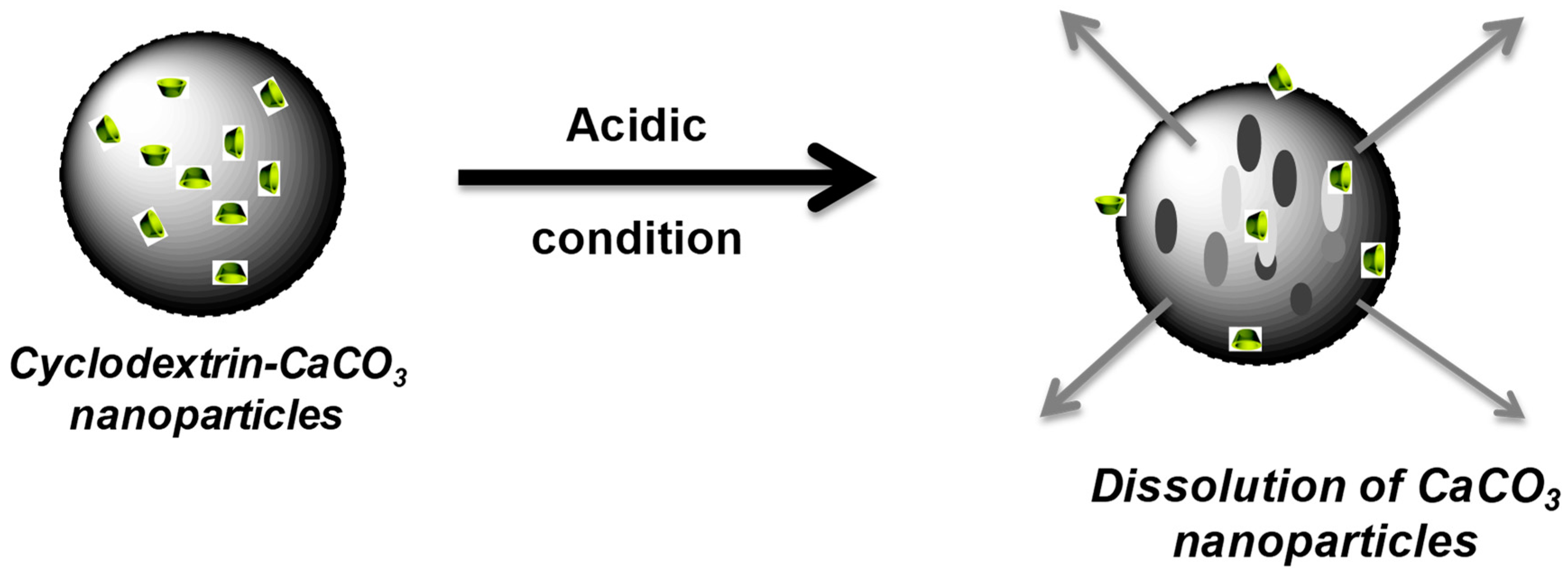 Pharmaceutics 15 00653 g010