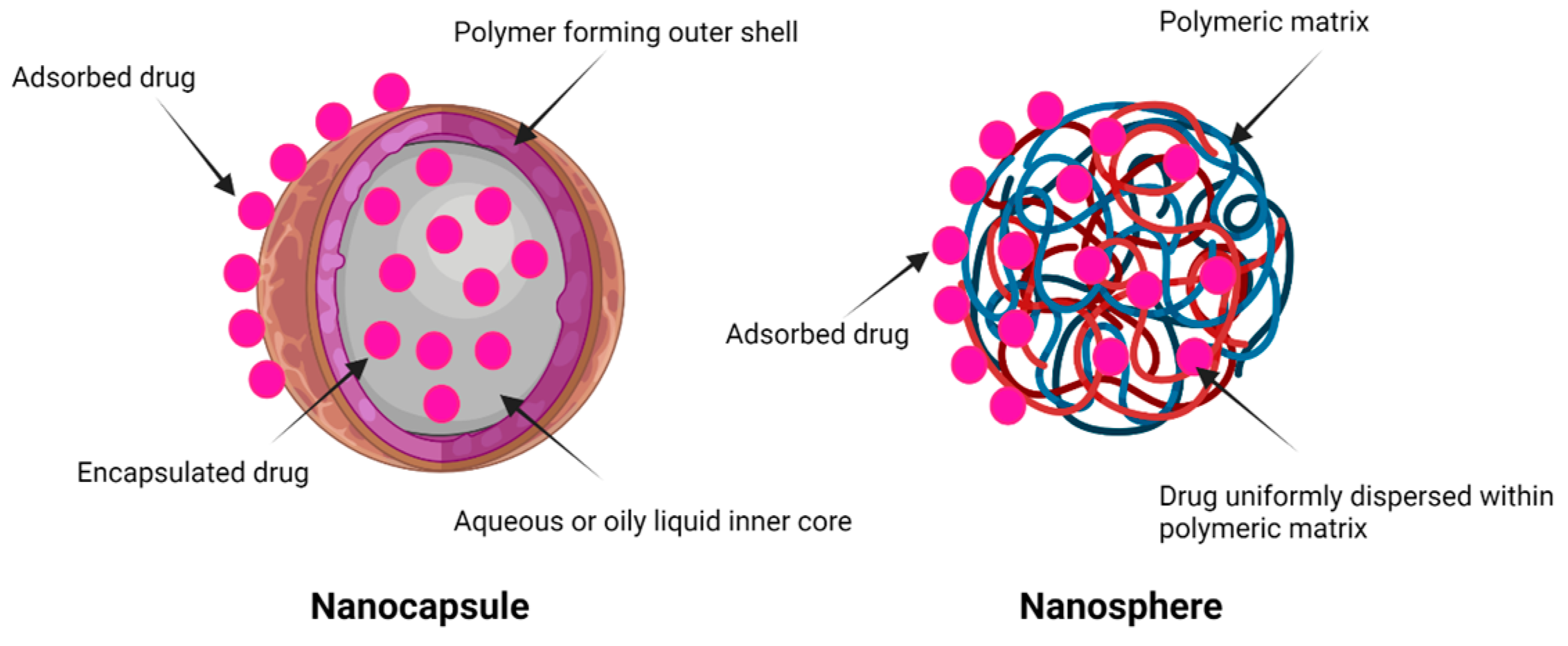 Pharmaceutics 15 00657 g002