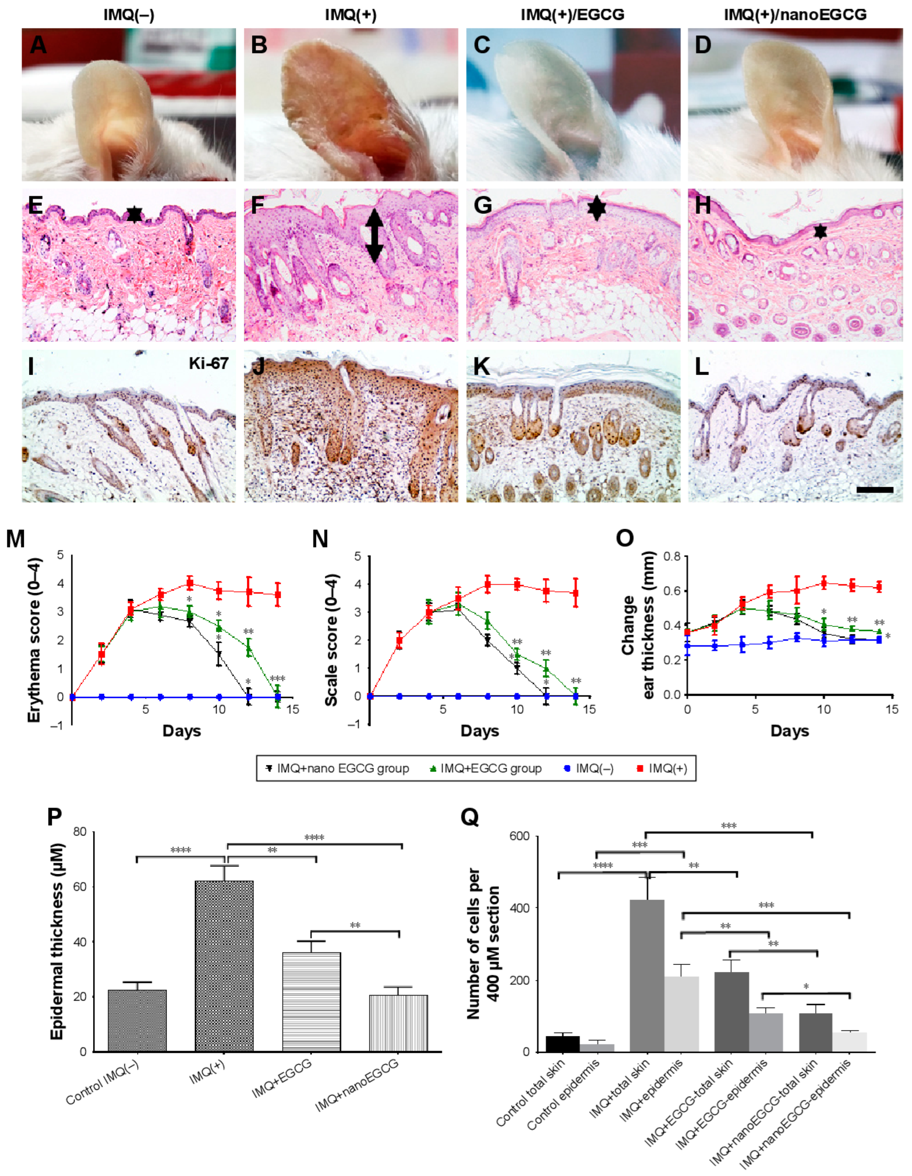 Pharmaceutics 15 00657 g004