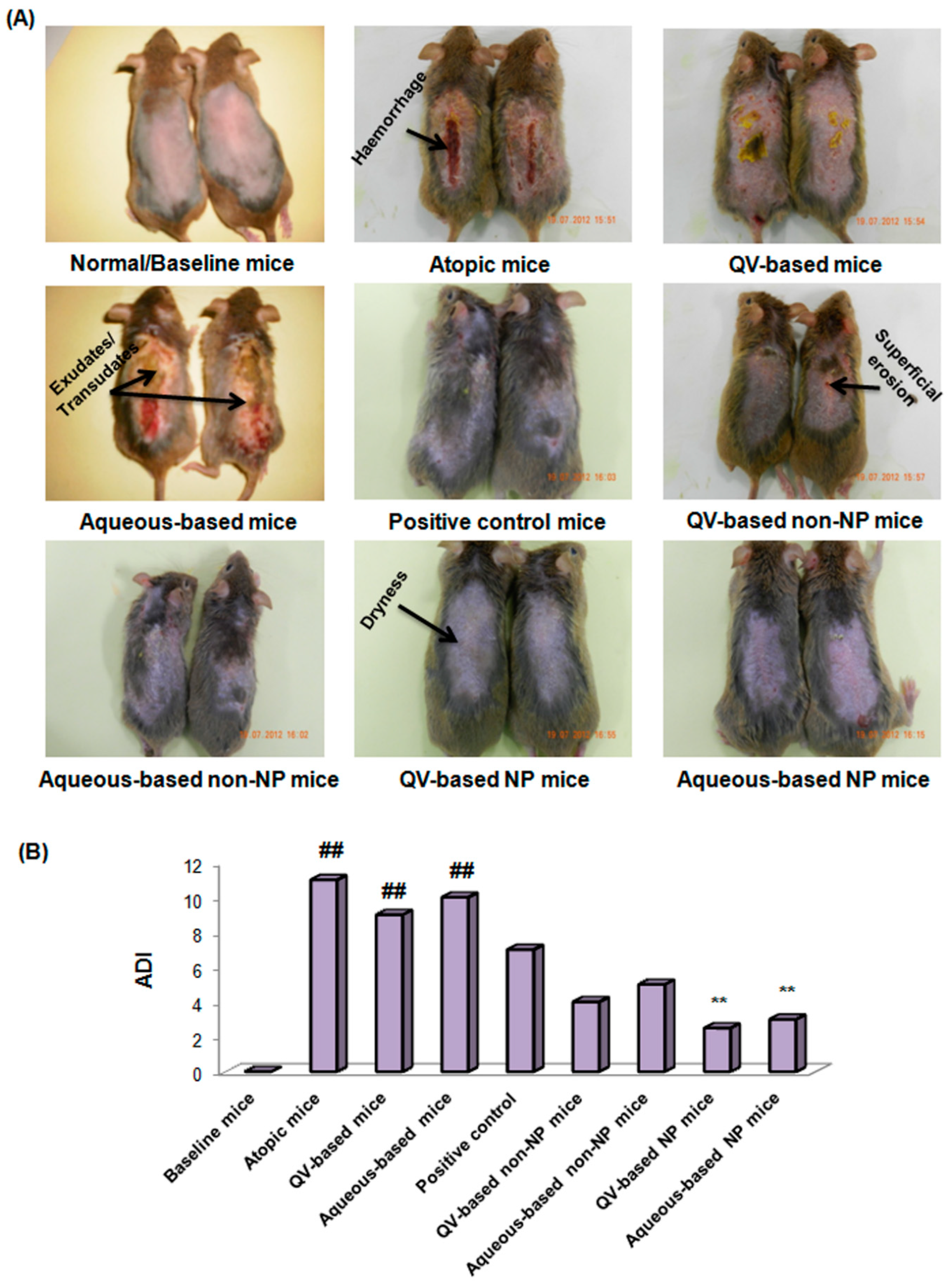 Pharmaceutics 15 00657 g005