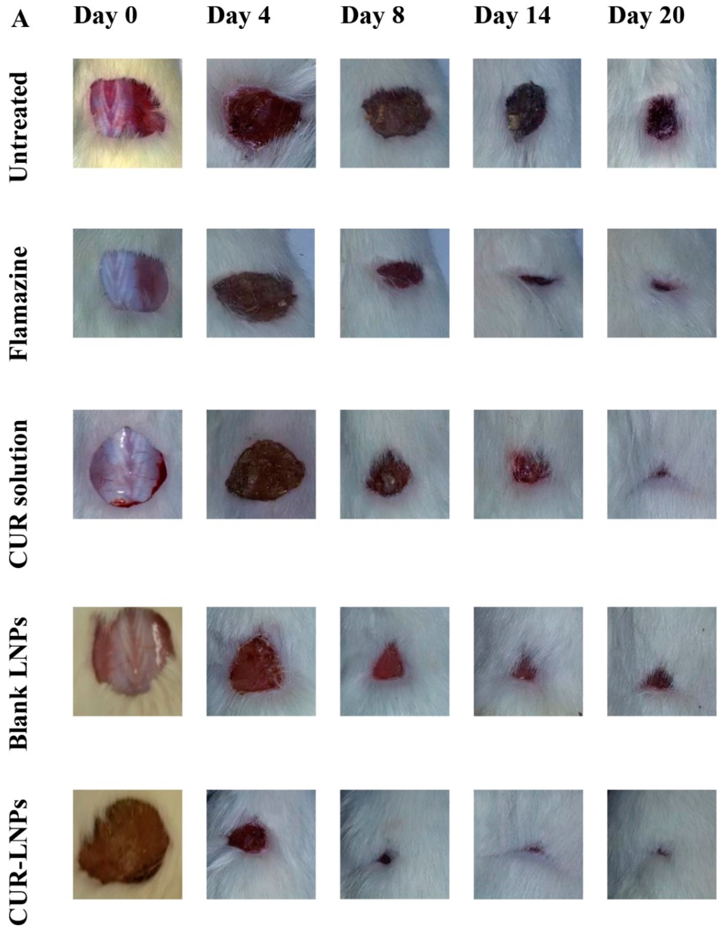 Pharmaceutics 15 00657 g007