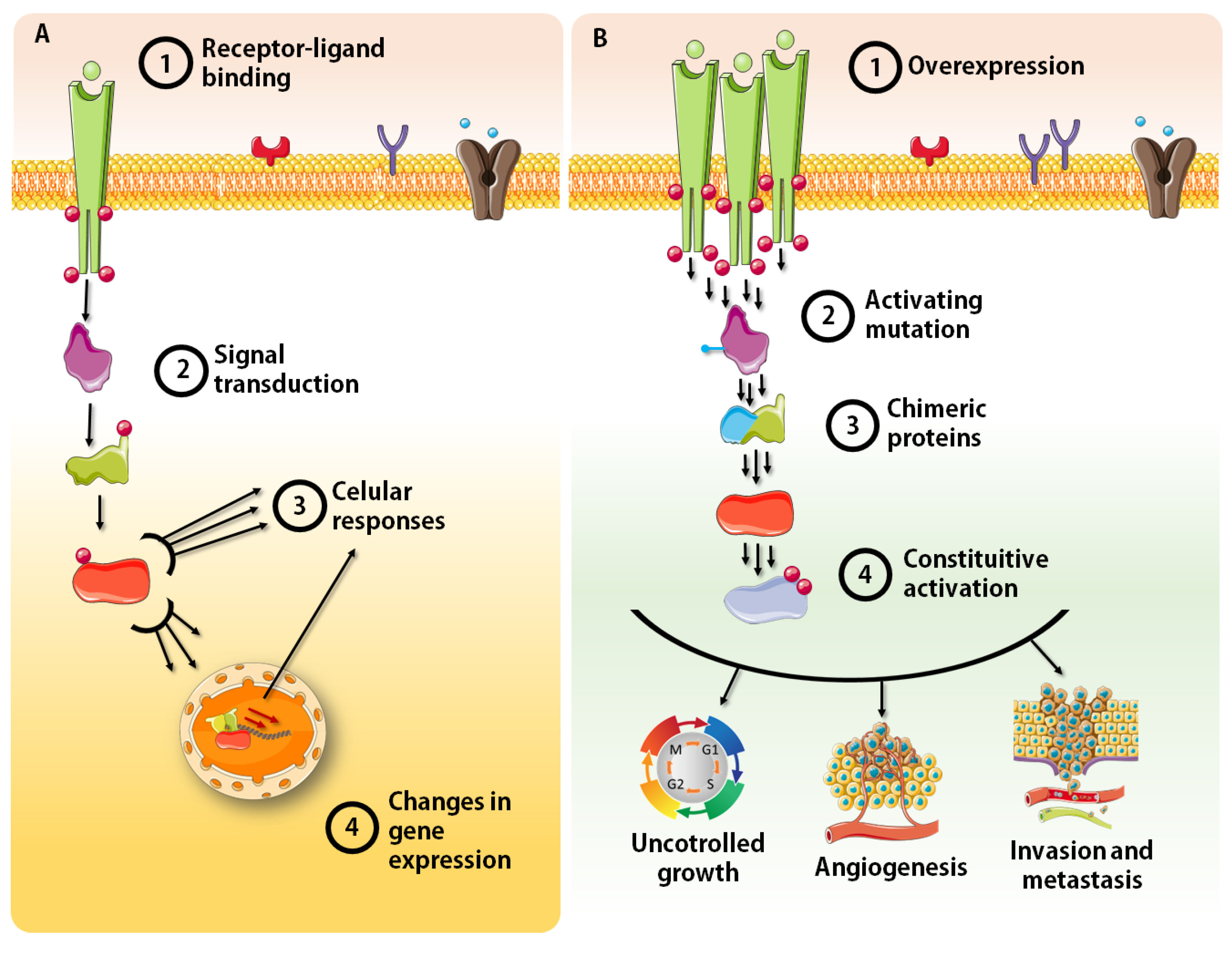 Pharmaceutics 15 00664 g001 Pharmaceutics 15 00664 g001