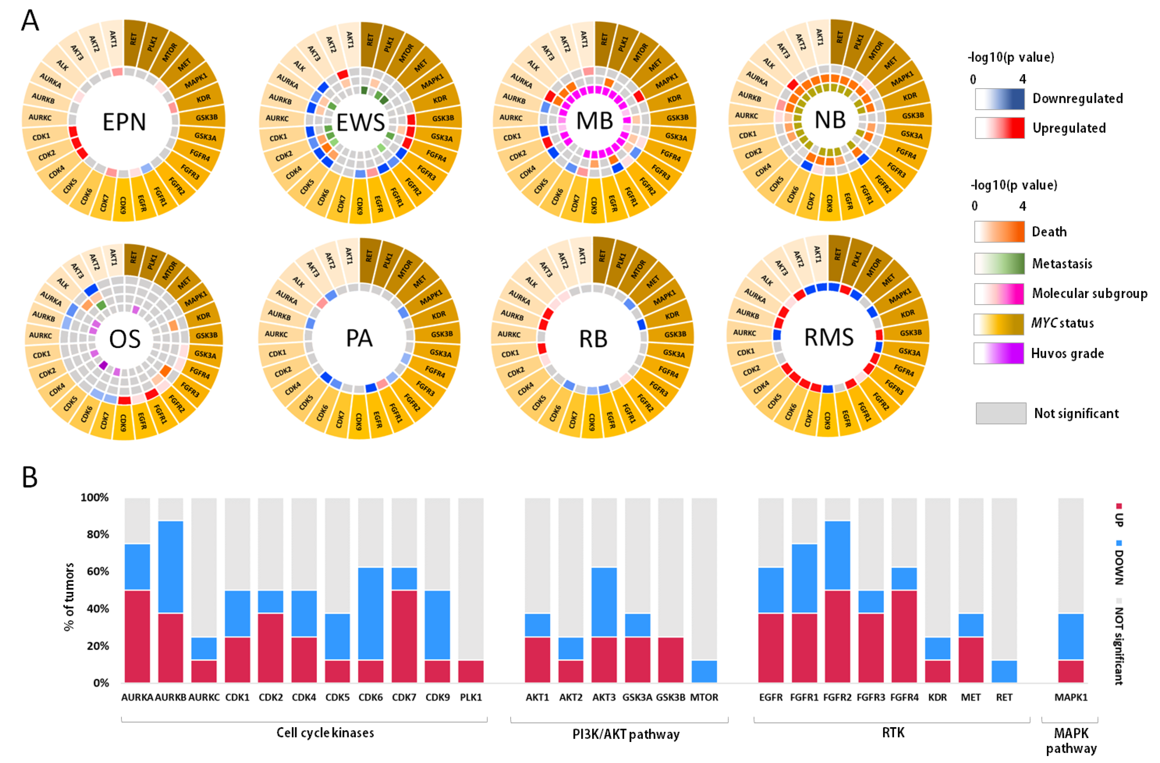 Pharmaceutics 15 00664 g003 Pharmaceutics 15 00664 g003