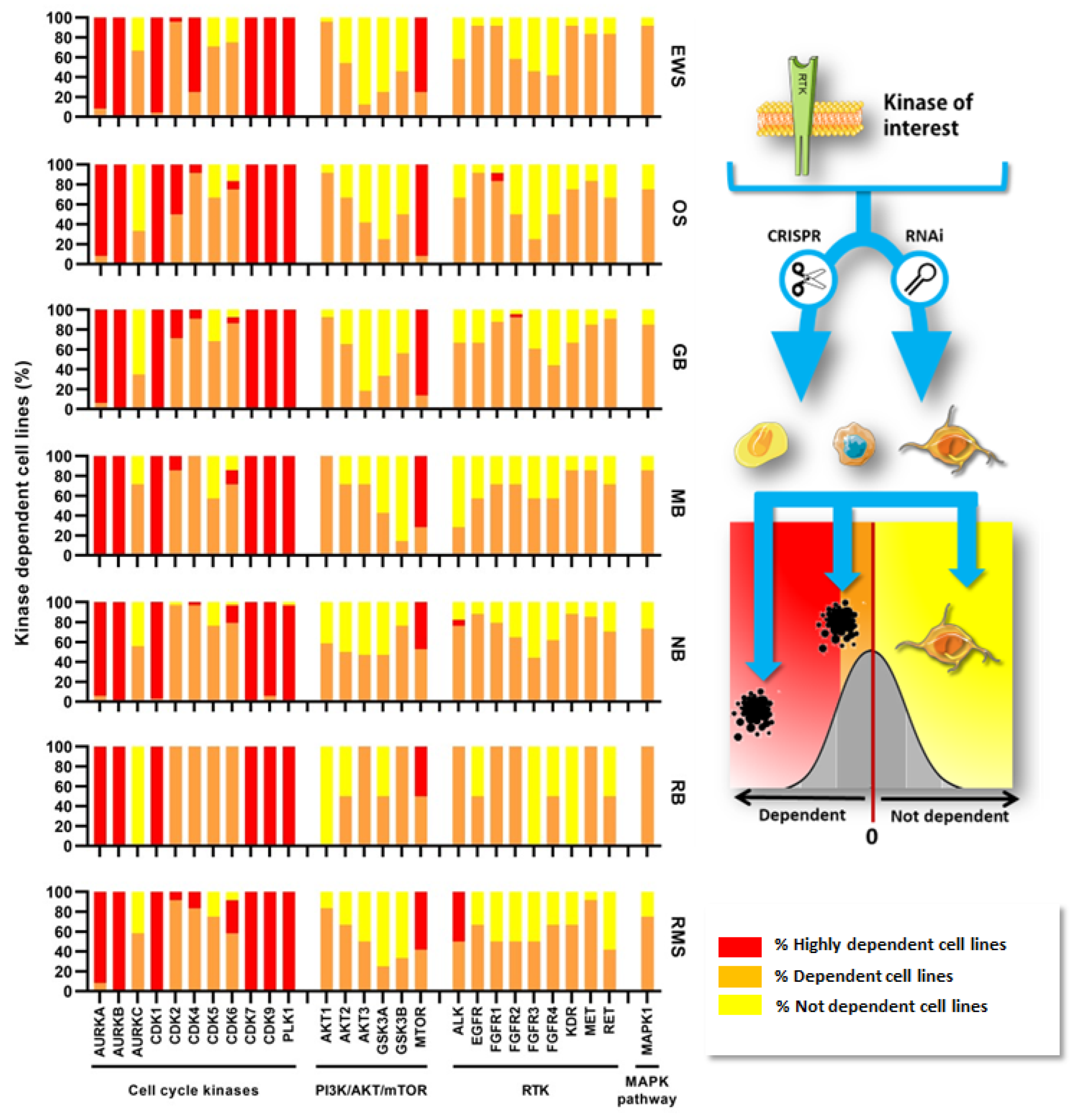 Pharmaceutics 15 00664 g004 Pharmaceutics 15 00664 g004
