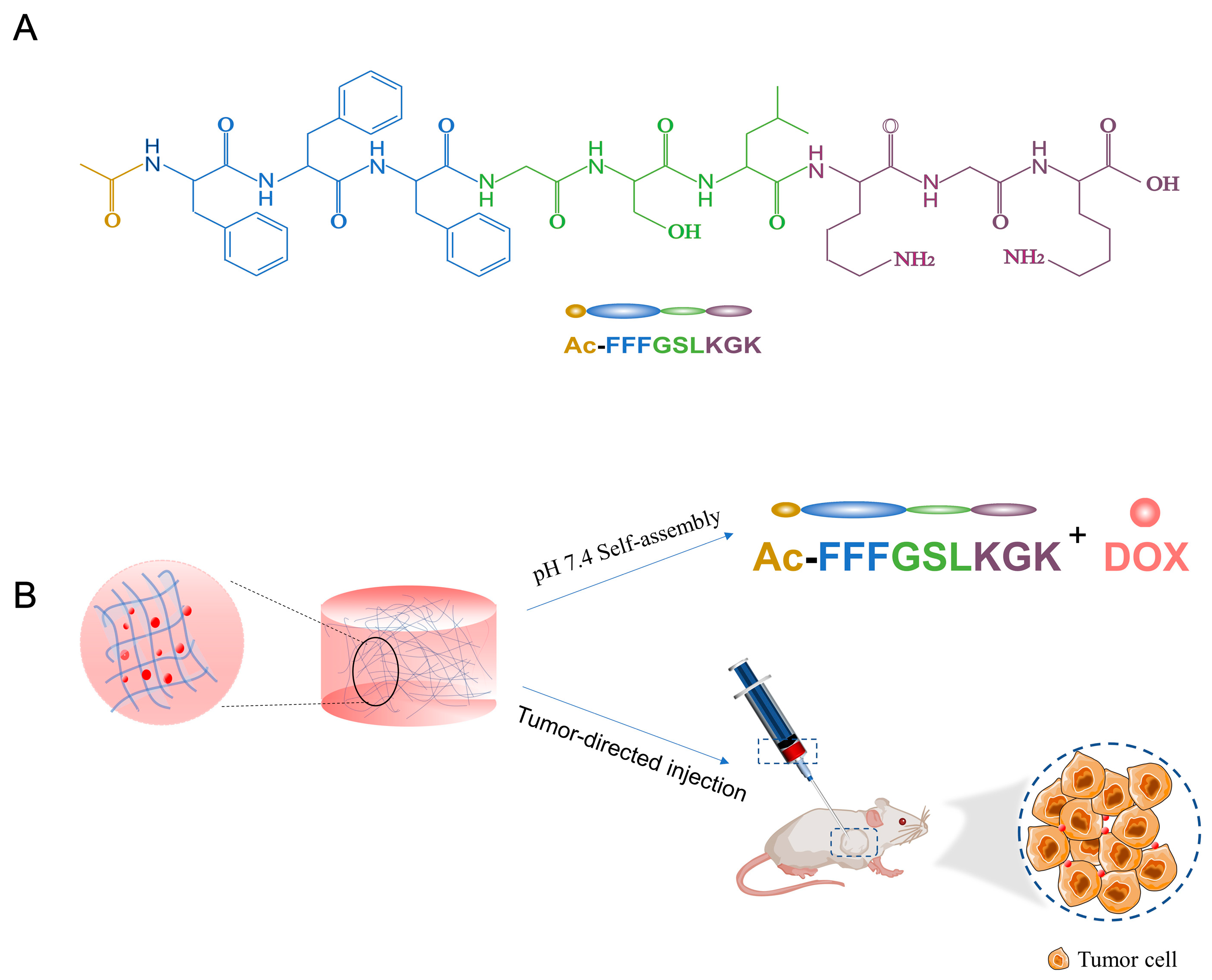 Pharmaceutics 15 00668 g001