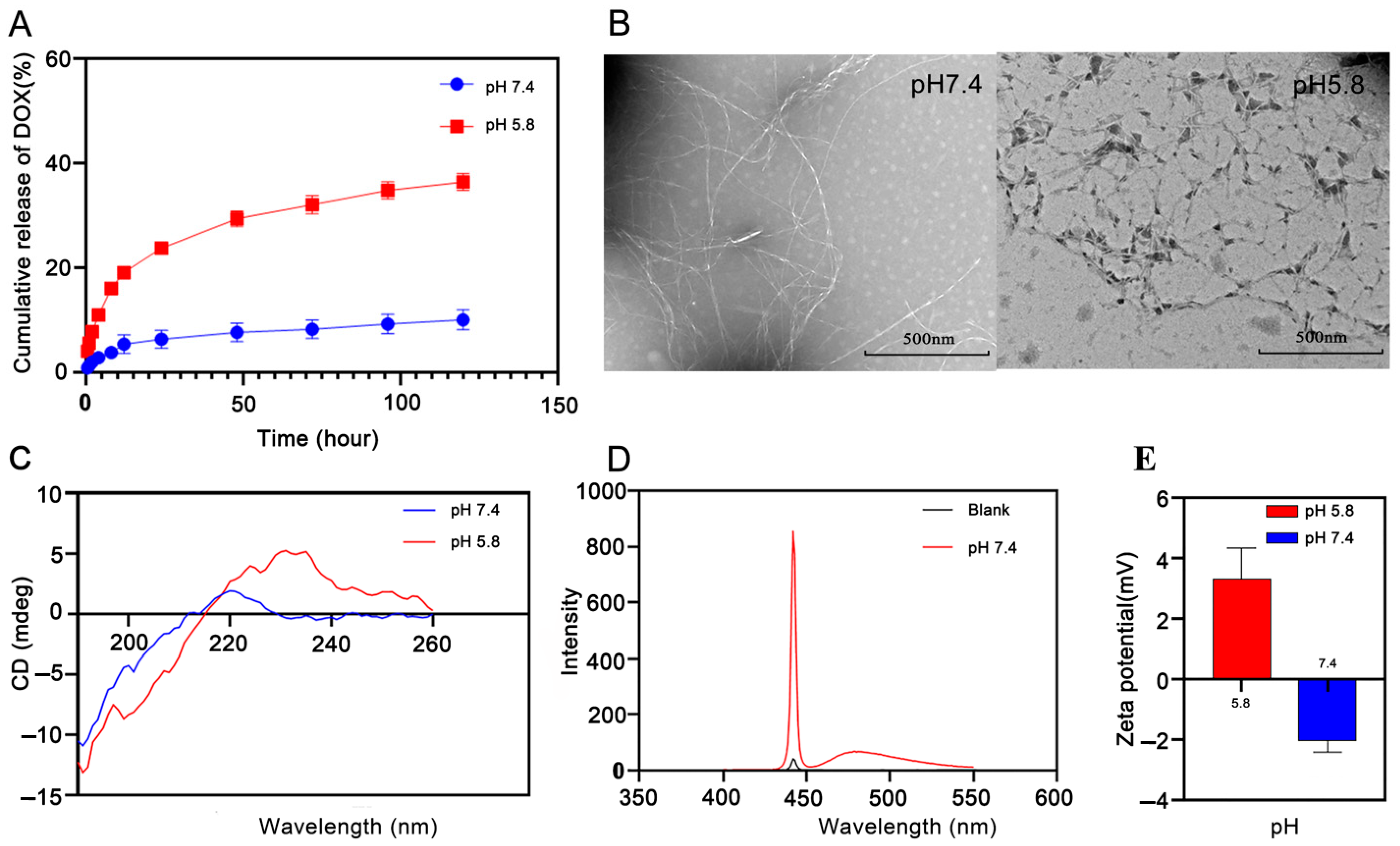Pharmaceutics 15 00668 g002