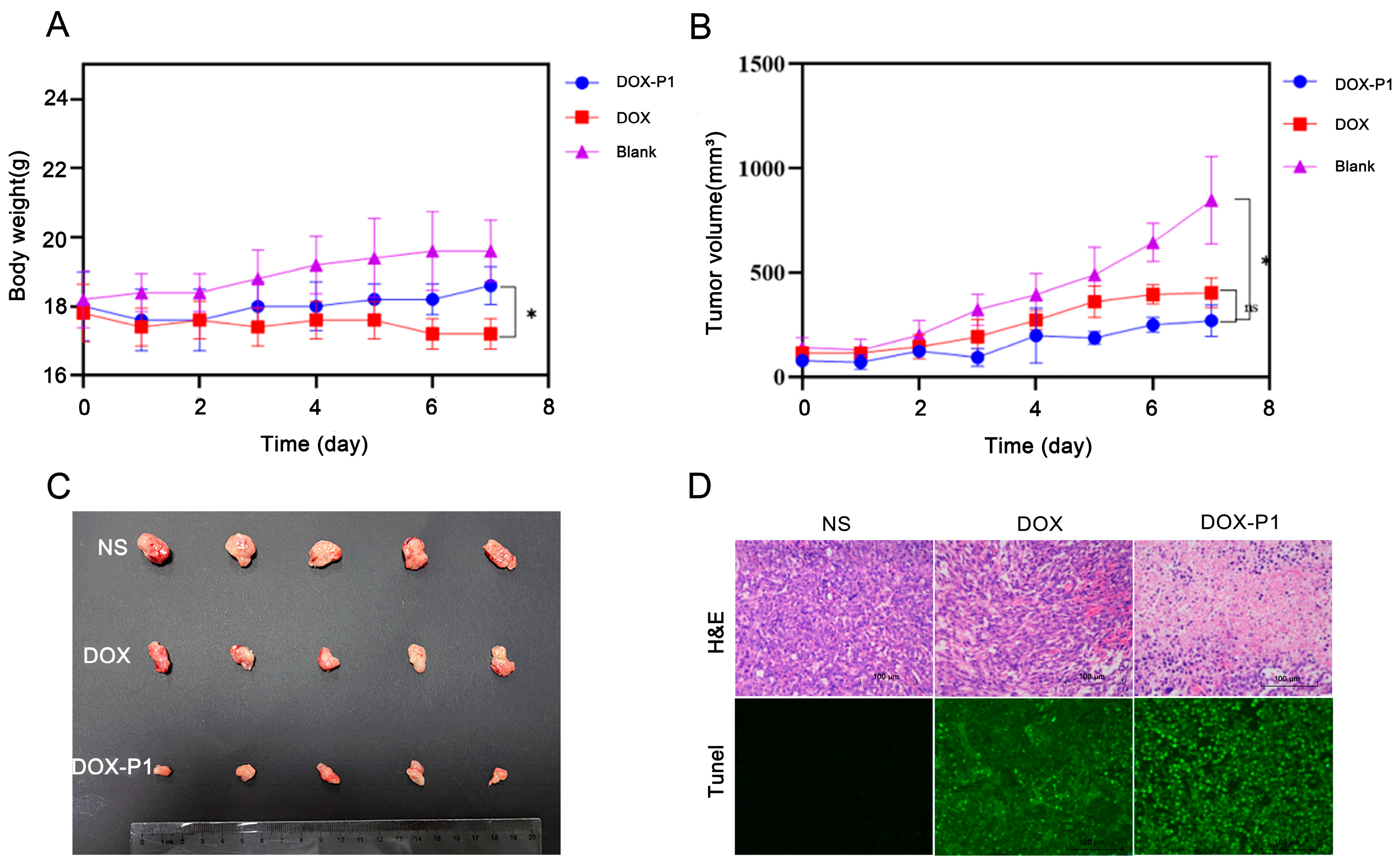Pharmaceutics 15 00668 g004