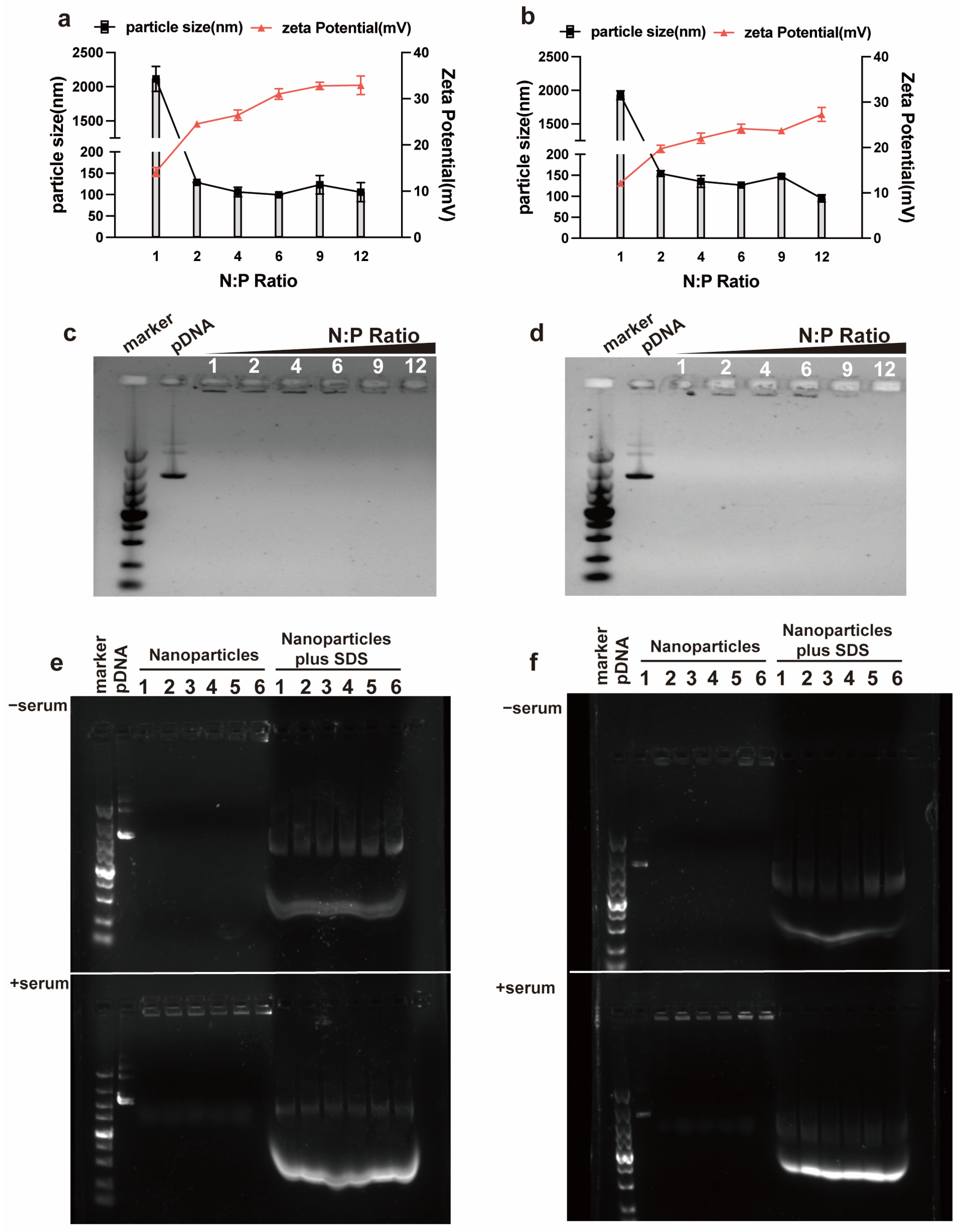 Pharmaceutics 15 00670 g001