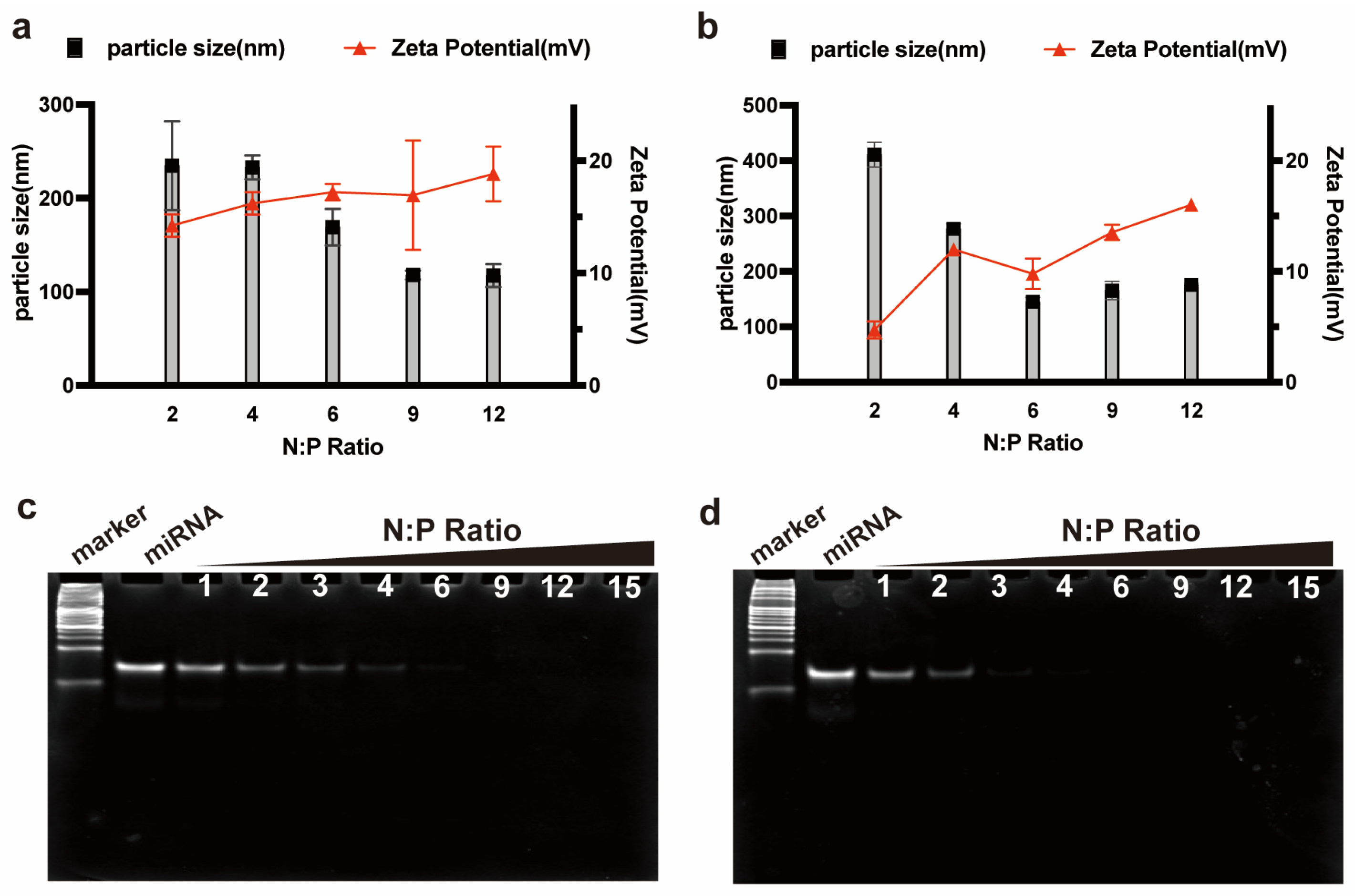 Pharmaceutics 15 00670 g004
