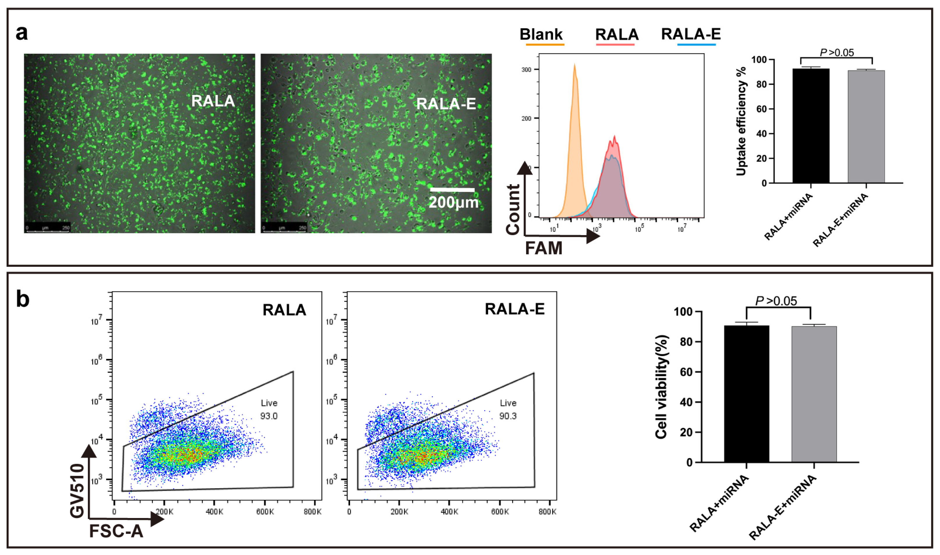 Pharmaceutics 15 00670 g005