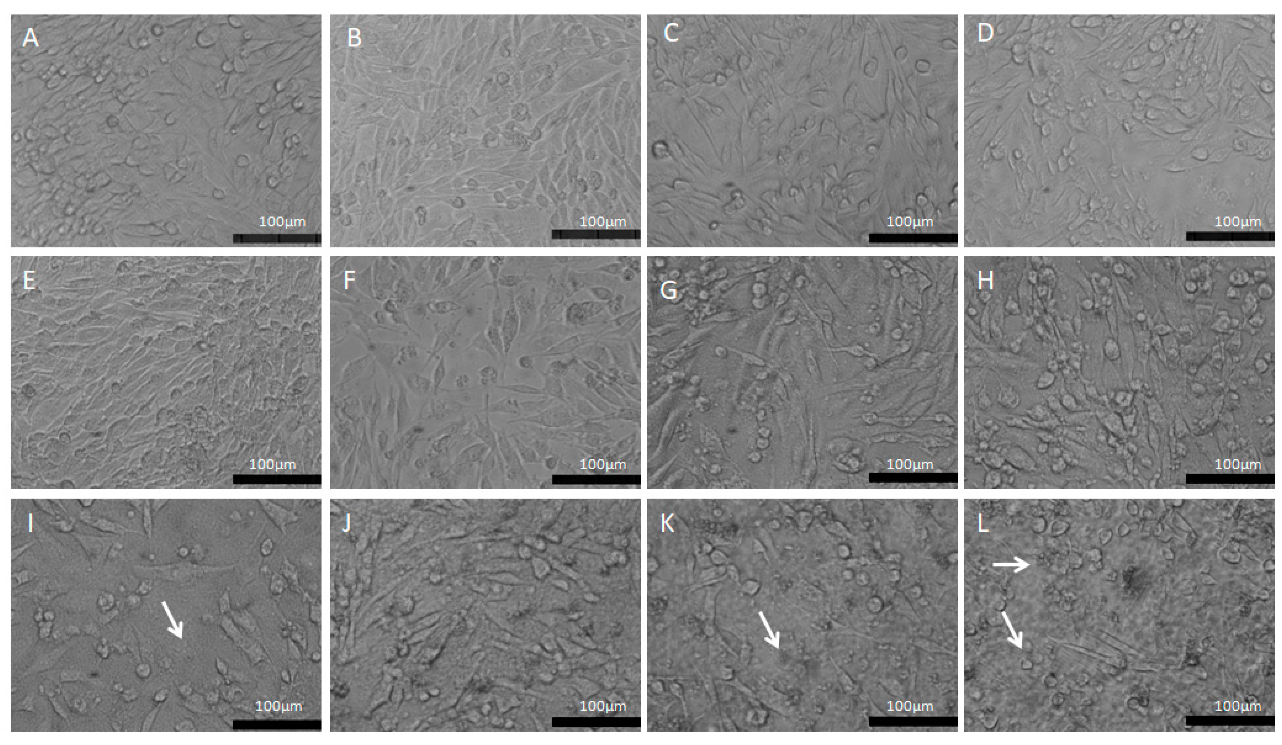 Pharmaceutics 15 00671 g006