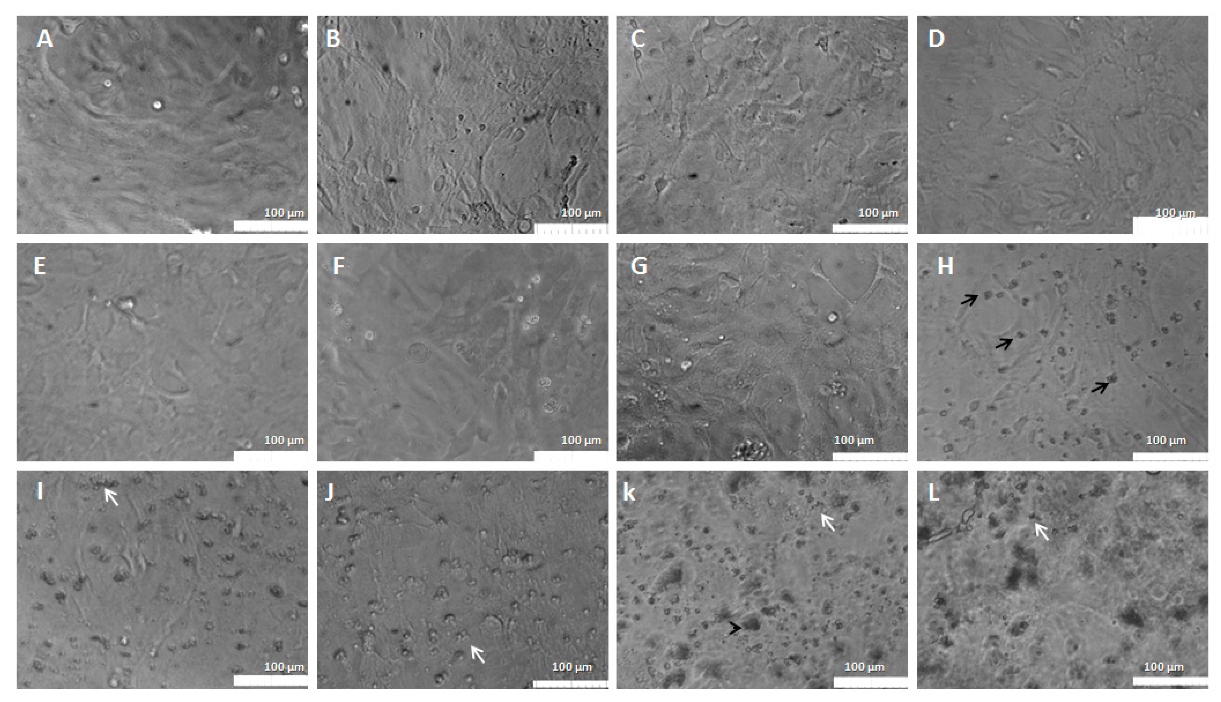 Pharmaceutics 15 00671 g009