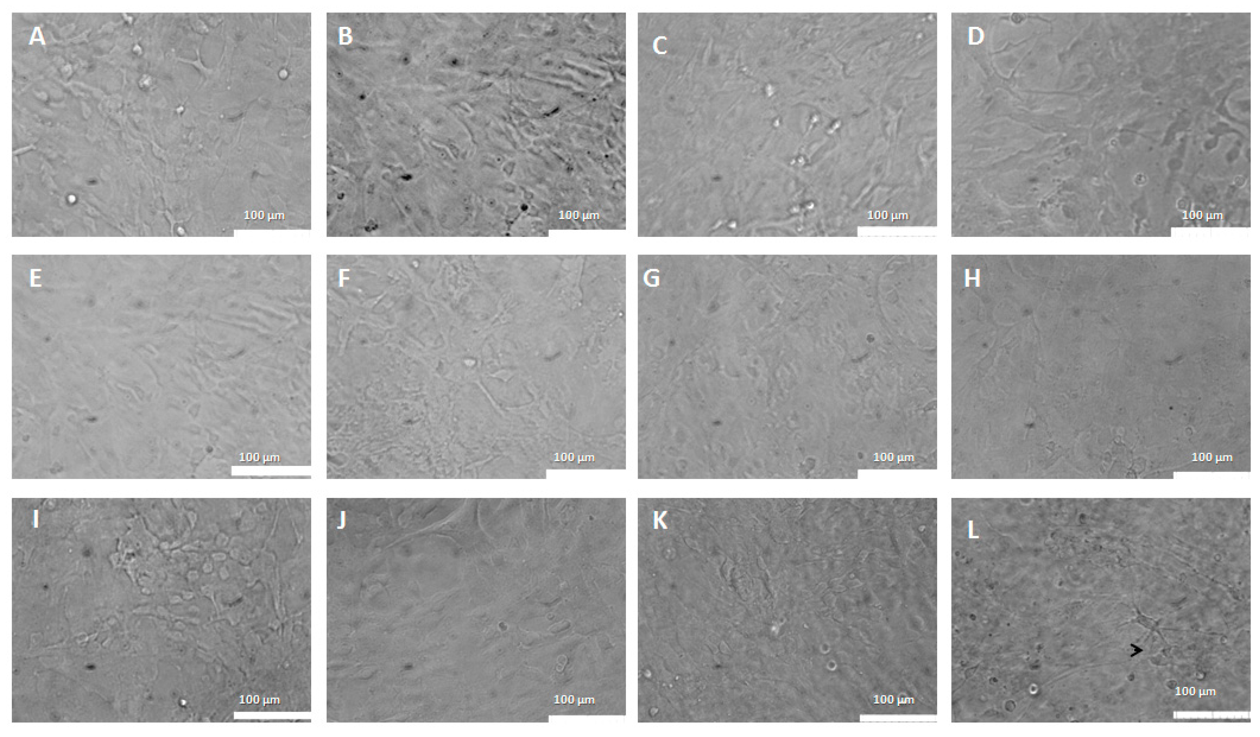 Pharmaceutics 15 00671 g010