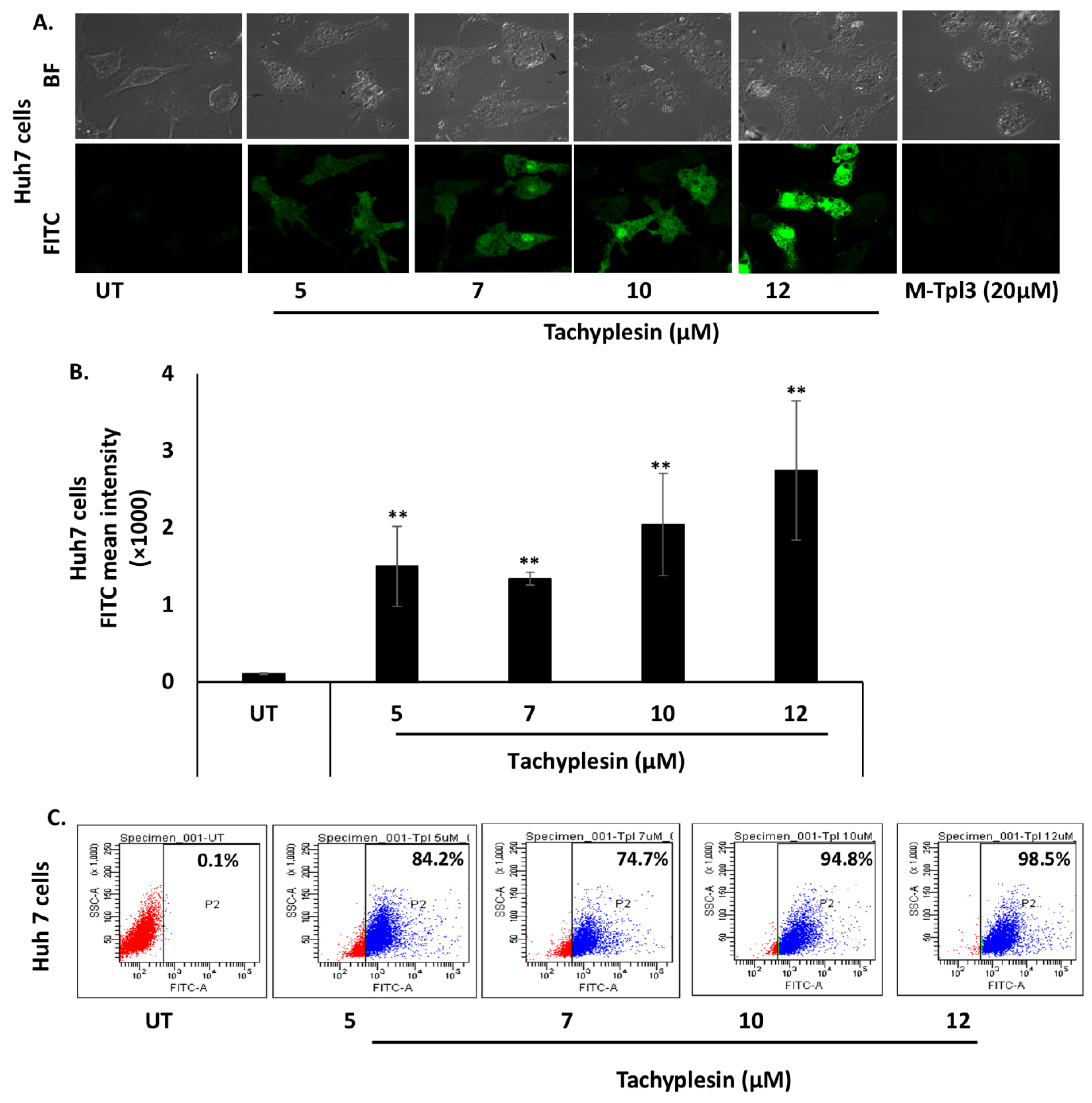 Pharmaceutics 15 00672 g001a Pharmaceutics 15 00672 g001a