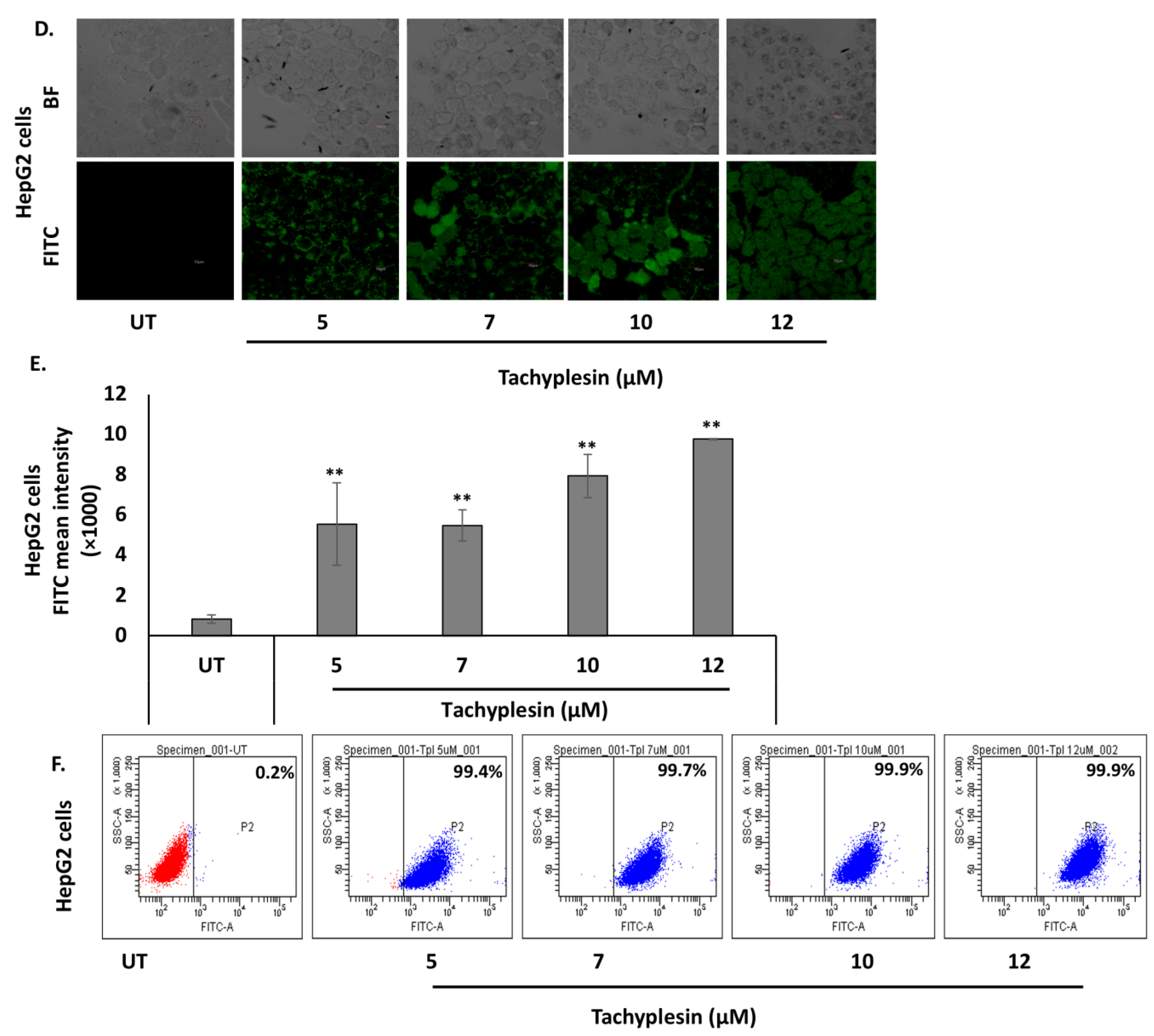Pharmaceutics 15 00672 g001b Pharmaceutics 15 00672 g001b